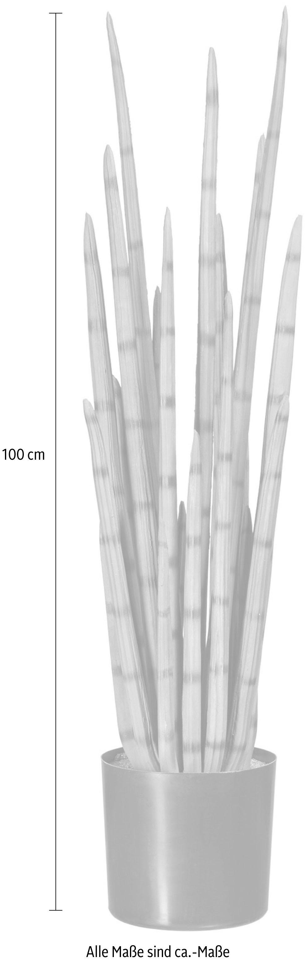 Creativ green Kunstpflanze »Sanseveria«