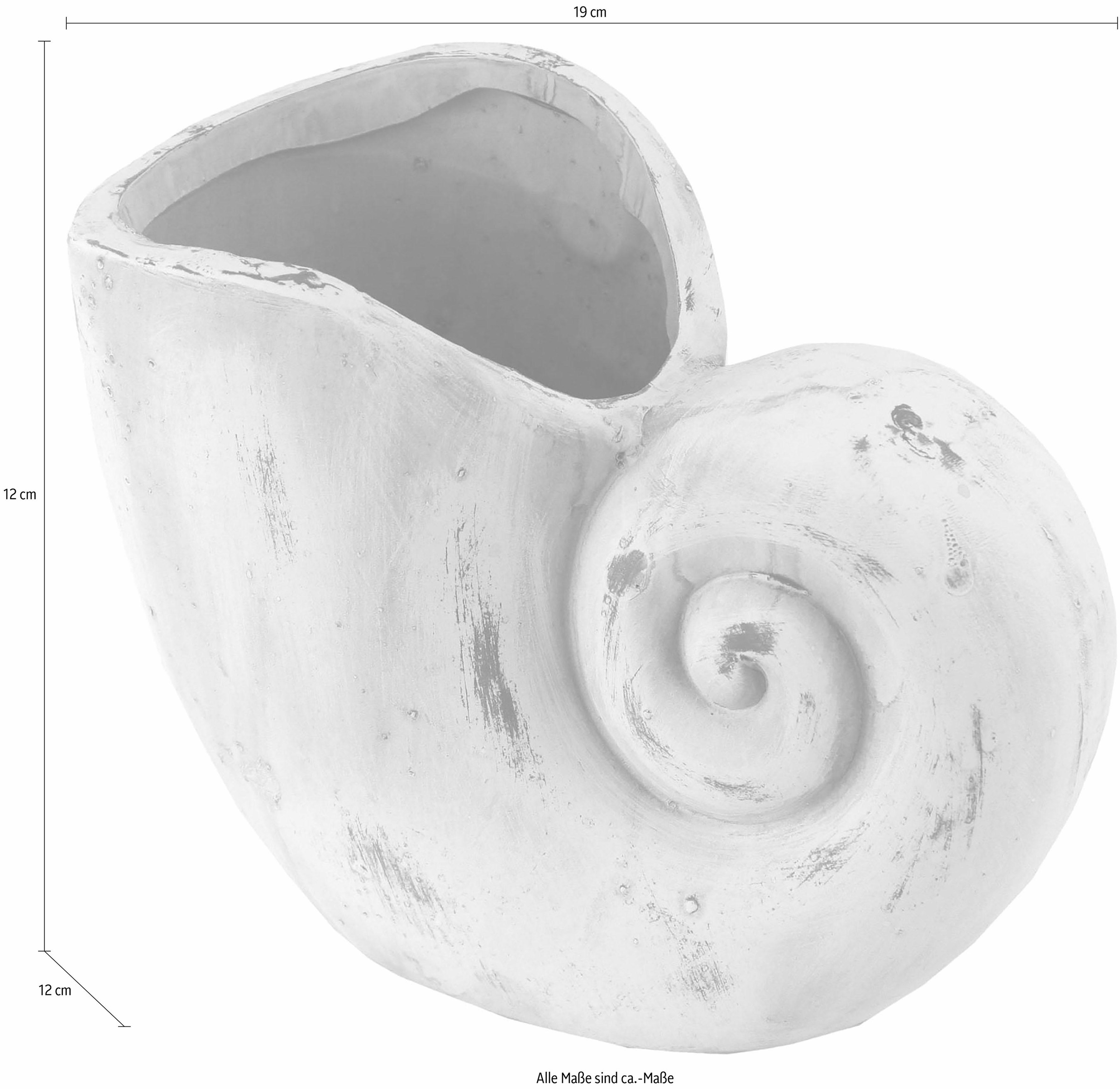 Muschel«, »Pflanzgefäß kaufen Übertopf (Set, St.) I.GE.A. 2 online