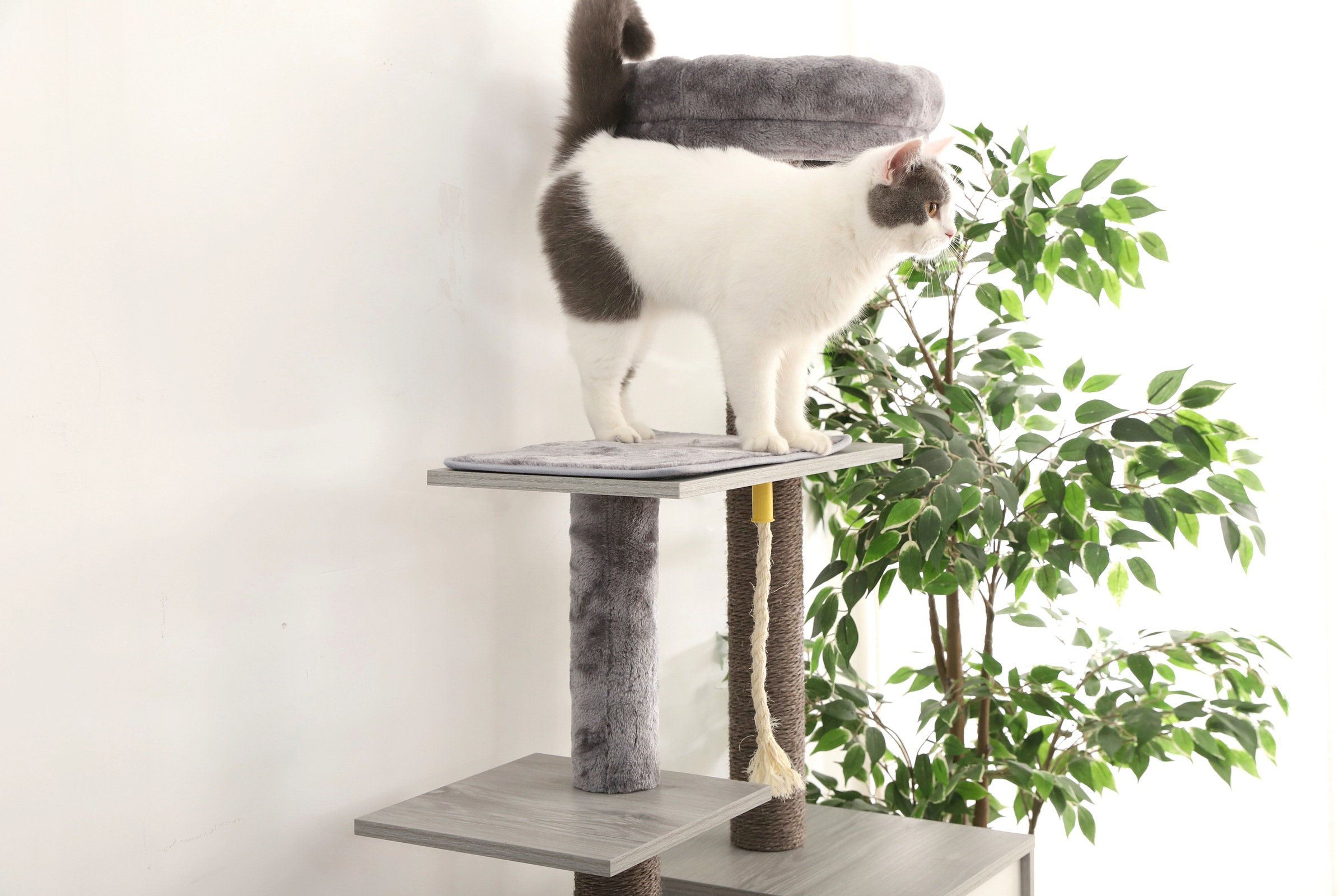 ABUKI Kratzbaum »Pippa XL«, hoch, BxTxH: 59x39x159 cm