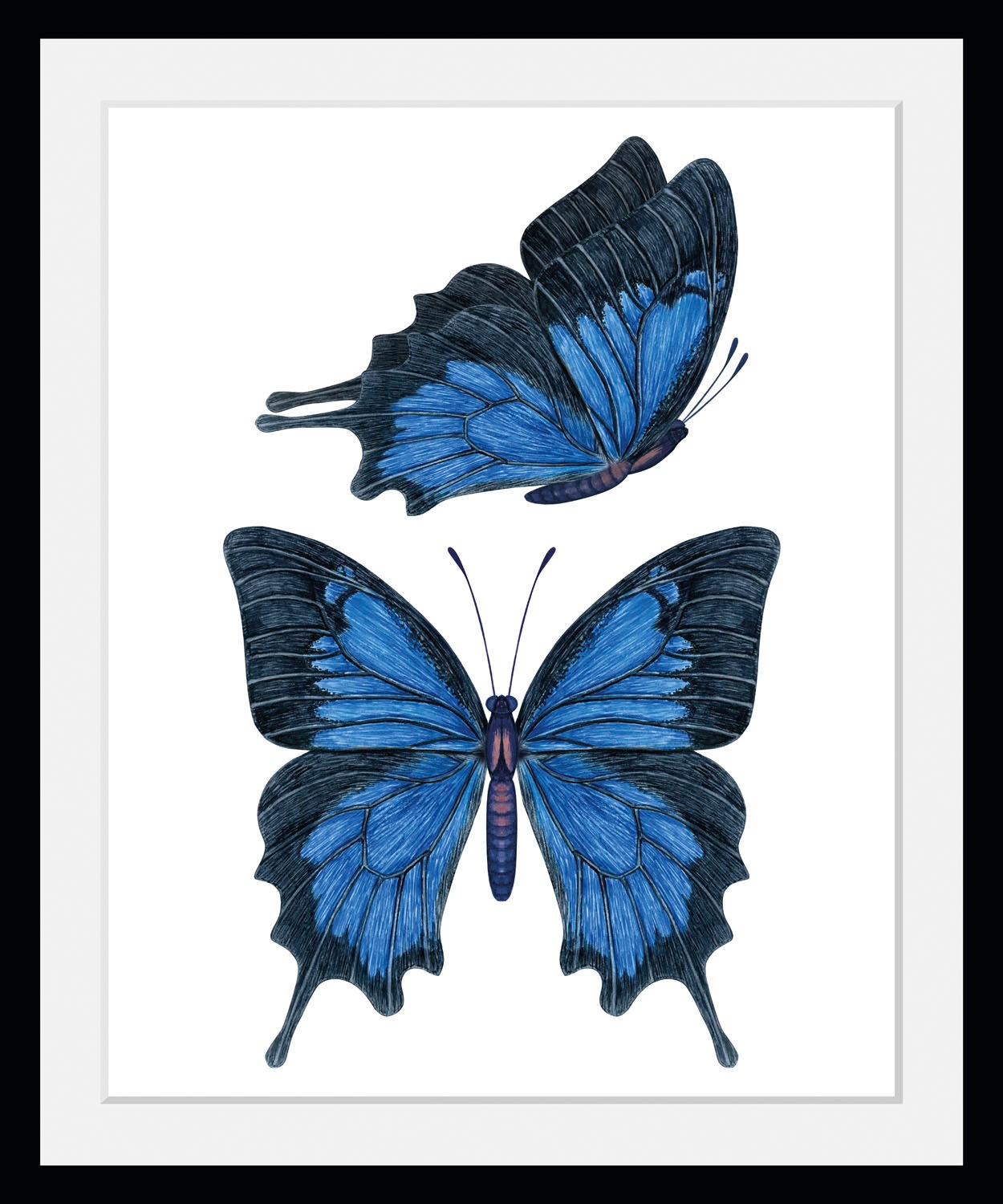 queence Bild »Amanda«, Schmetterlinge-Kunst-Insekten, (1 St.), HD Premium P günstig online kaufen