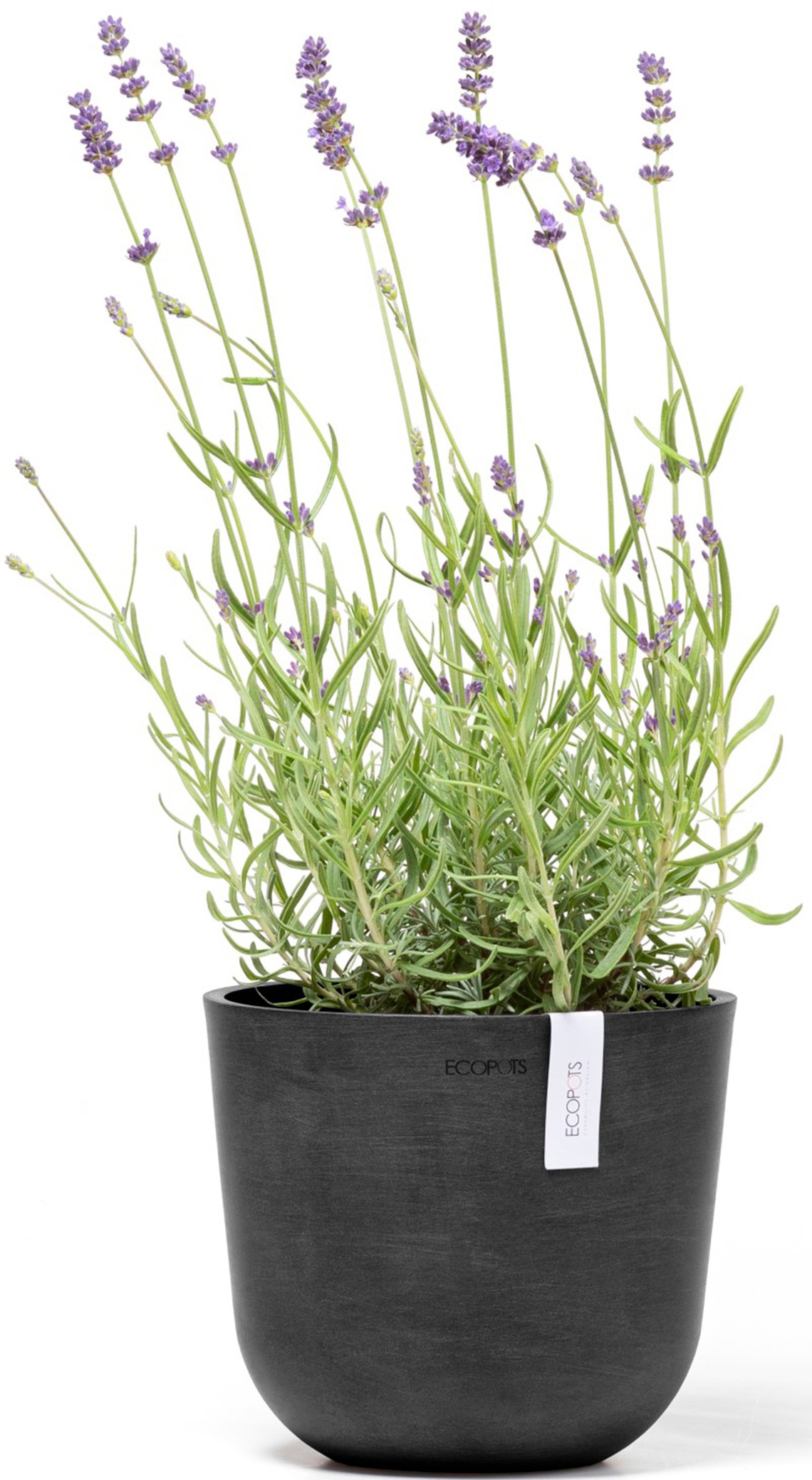 ECOPOTS Blumentopf »Oslo Mini 19 Dunkelgrau«, für den Innenbereich