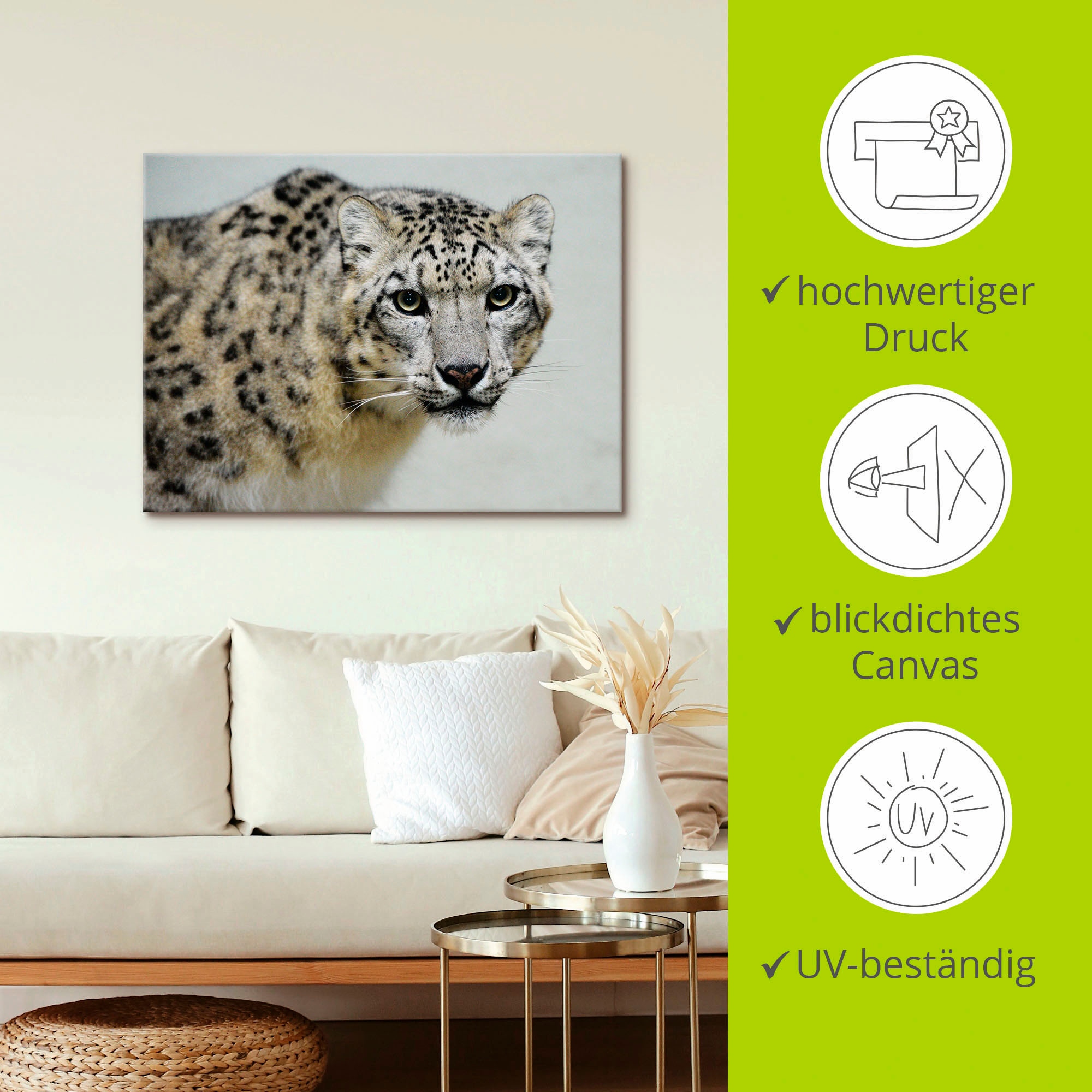 Artland Wandbild »Schneeleopard«, Wildtiere, (1 St.), als Alubild, Outdoorbild, Leinwandbild in verschied. Größen