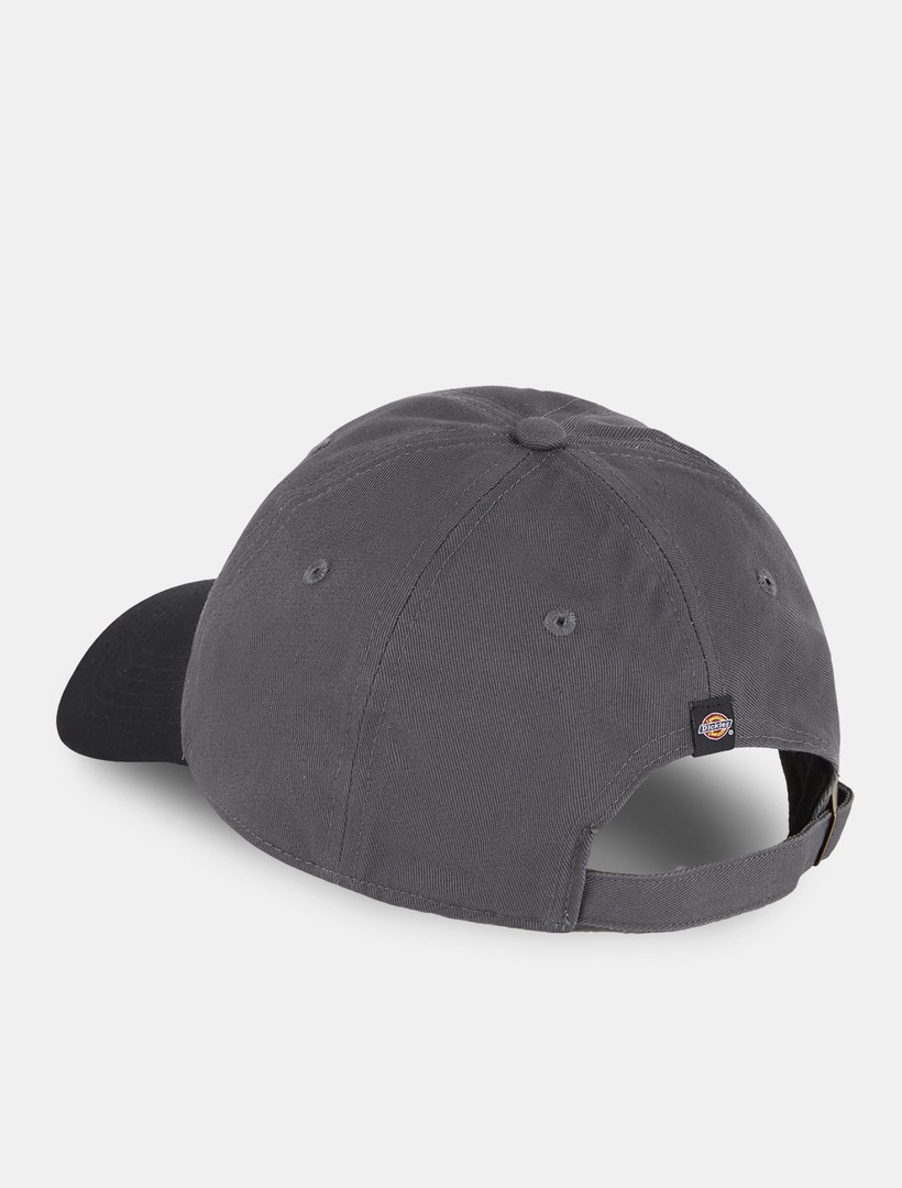 Dickies Baseball Cap »Dickies Workwear Mützen TWILL DAD HAT«