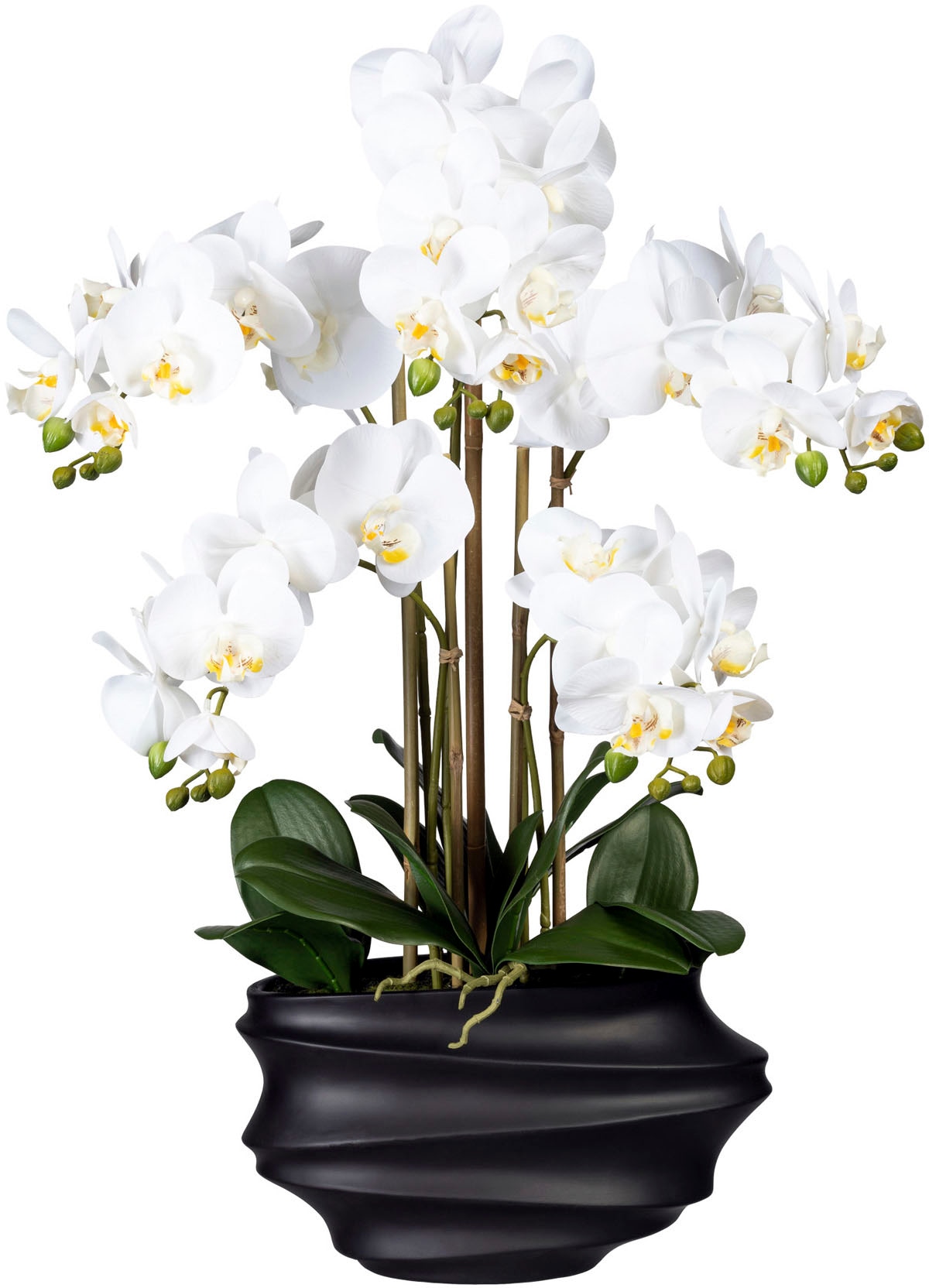 Creativ green Kunstorchidee »Phalaenopsis«, in Design-Kunststoffvase günstig online kaufen
