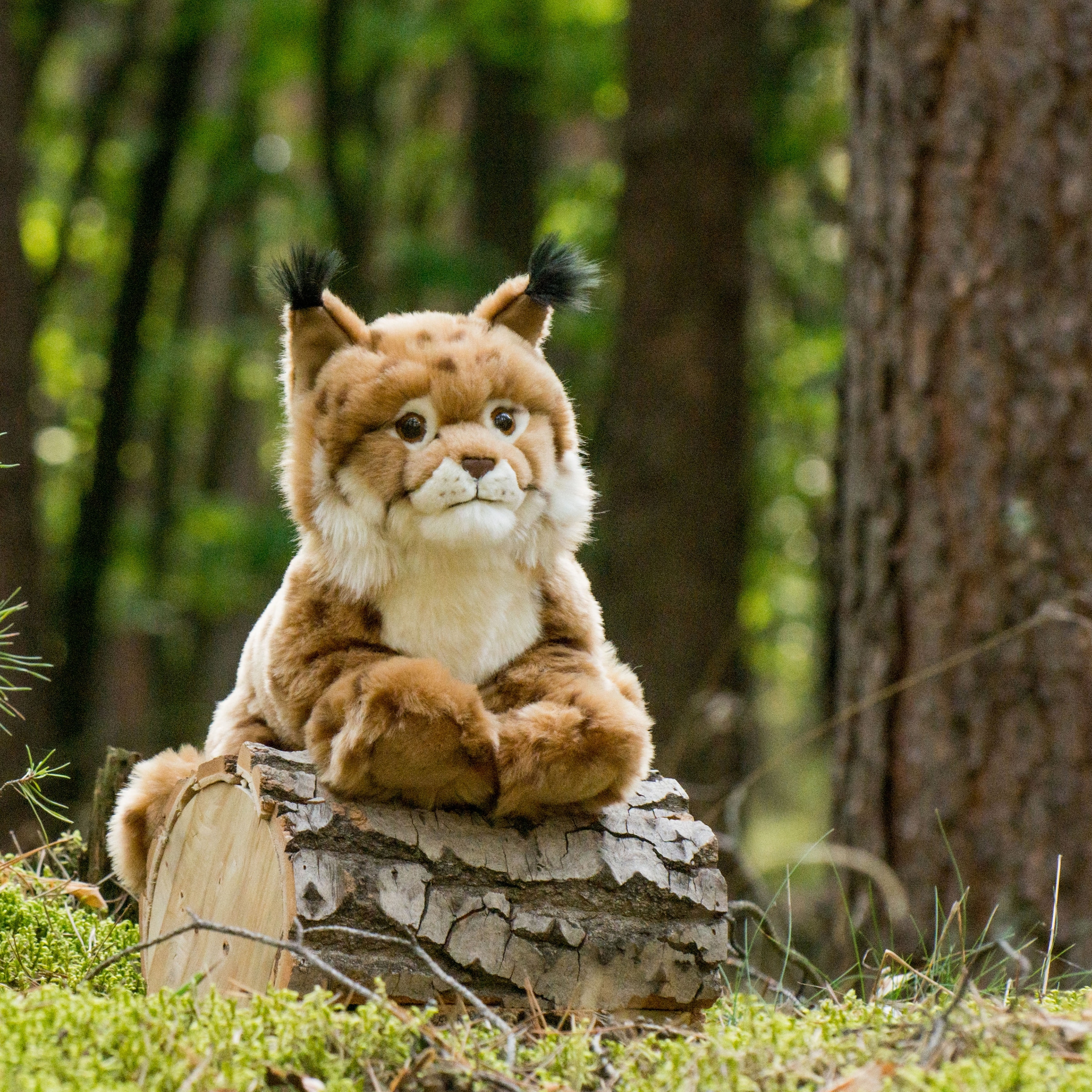 Teddy Hermann® Kuscheltier »Luchs liegend, 45 cm«, zum Teil aus recyceltem Material