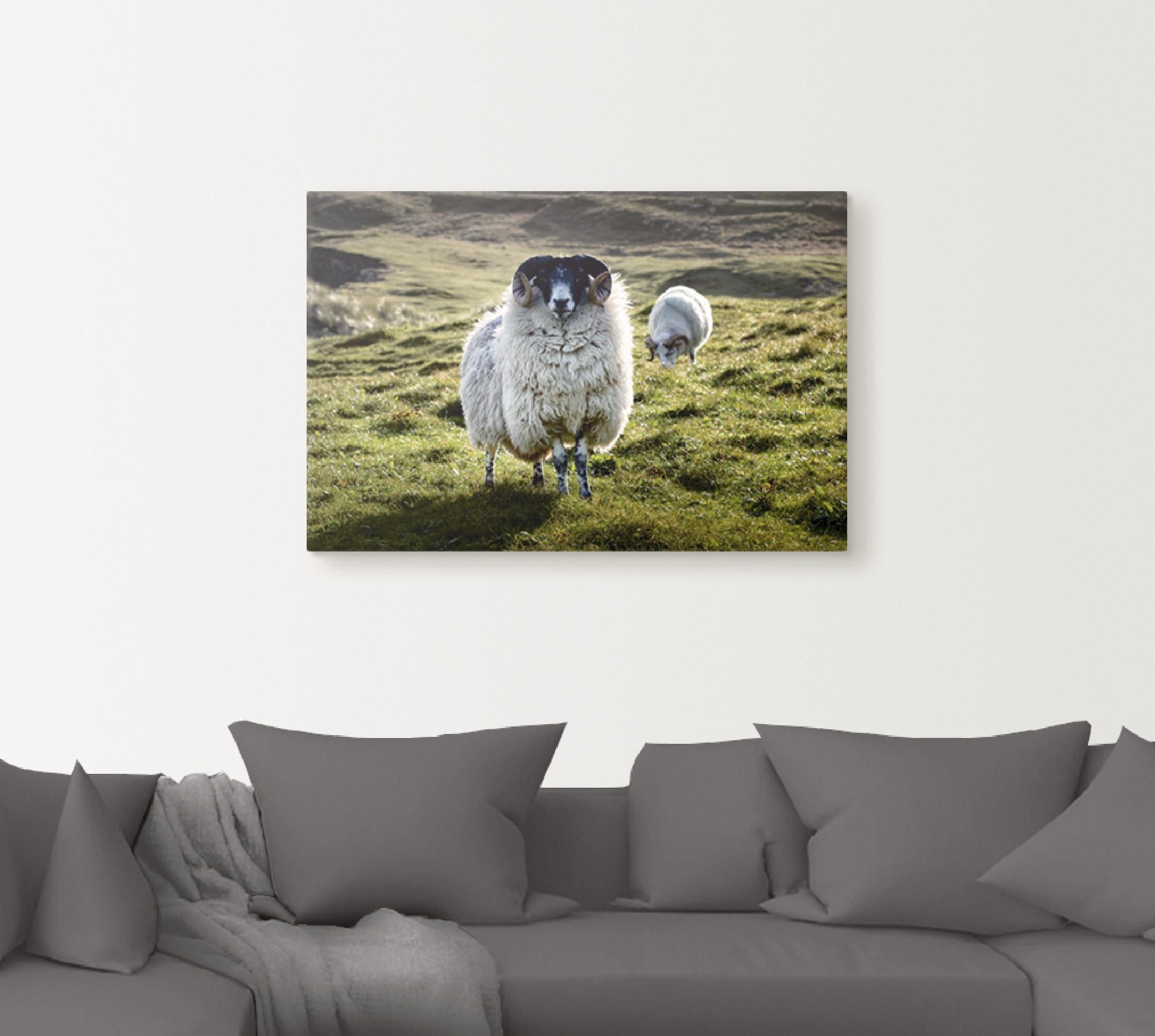 Artland Leinwandbild »Schaf«, Haustiere, (1 St.), auf Keilrahmen gespannt