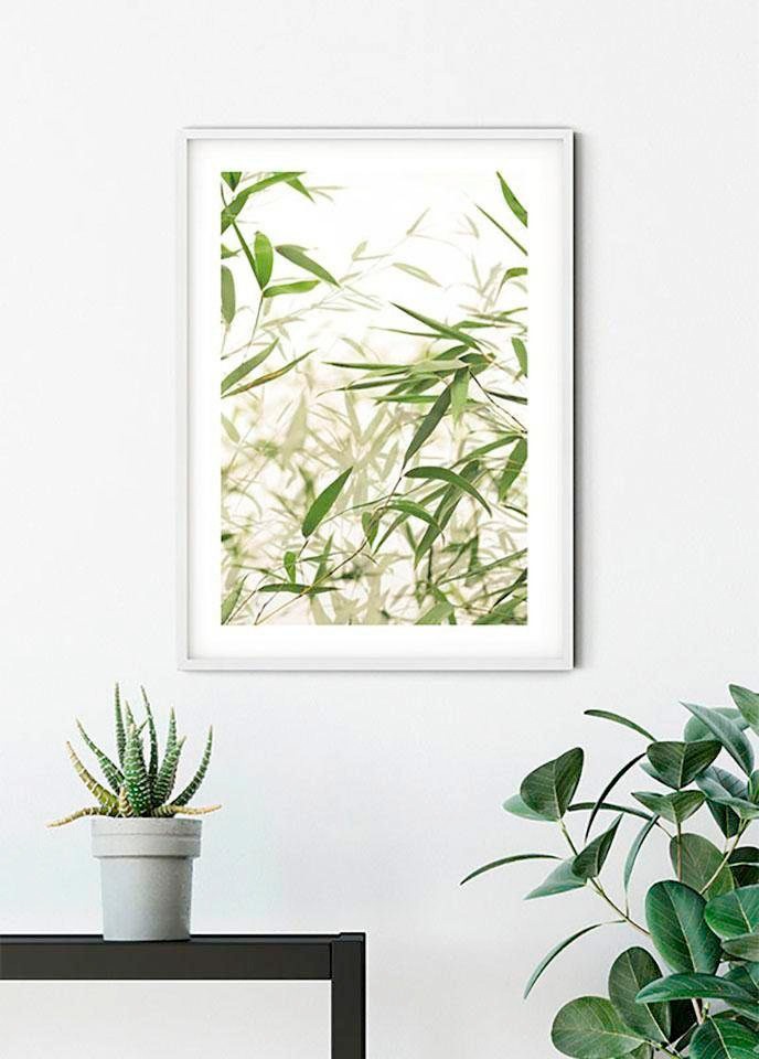 Komar Bild »Bamboo Leaves«, Pflanzen-Blätter, (1 St.), Wandbild zur Dekorat günstig online kaufen