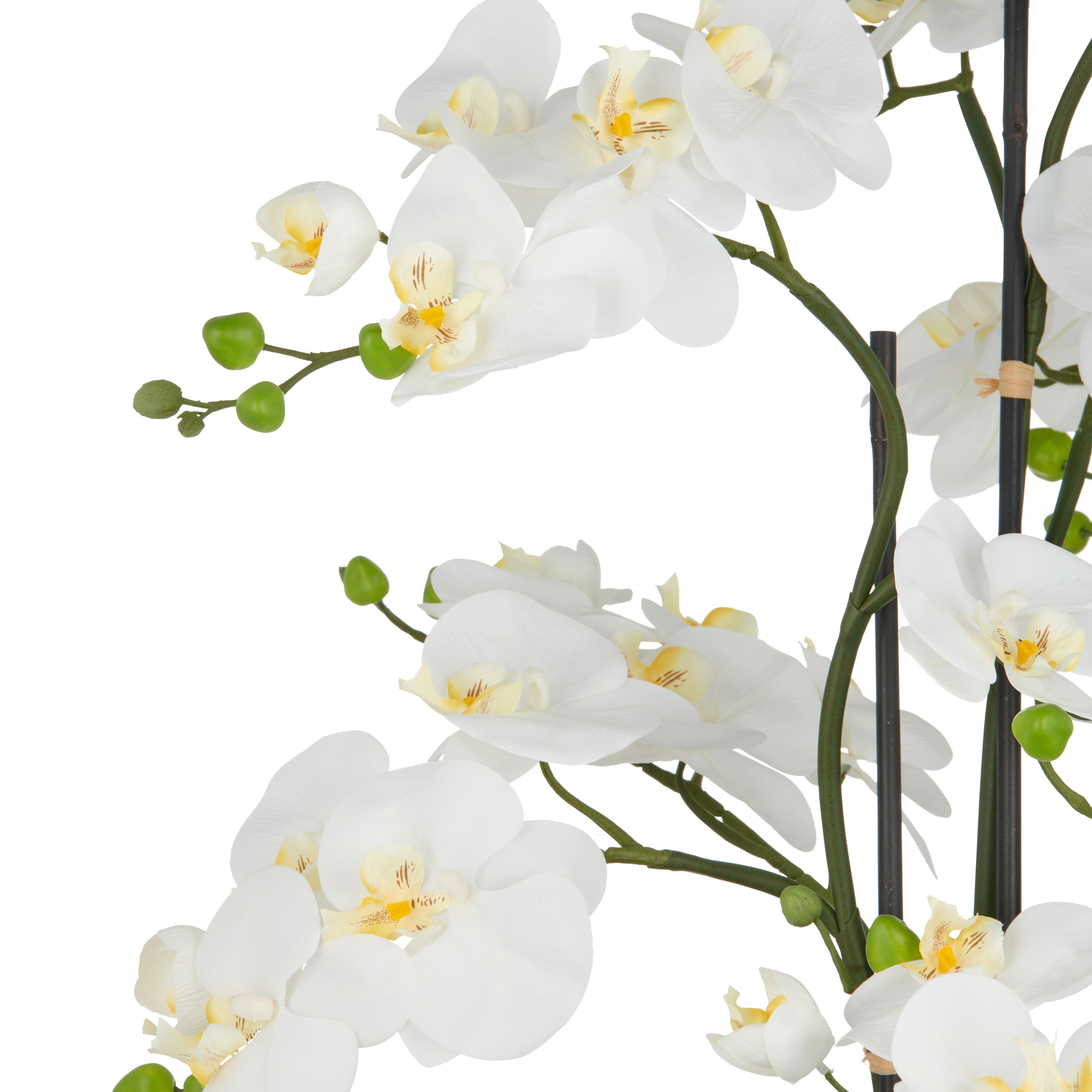 Creativ green Kunstorchidee »Orchidee Phalaenopsis«, mit künstlichem Erdballen