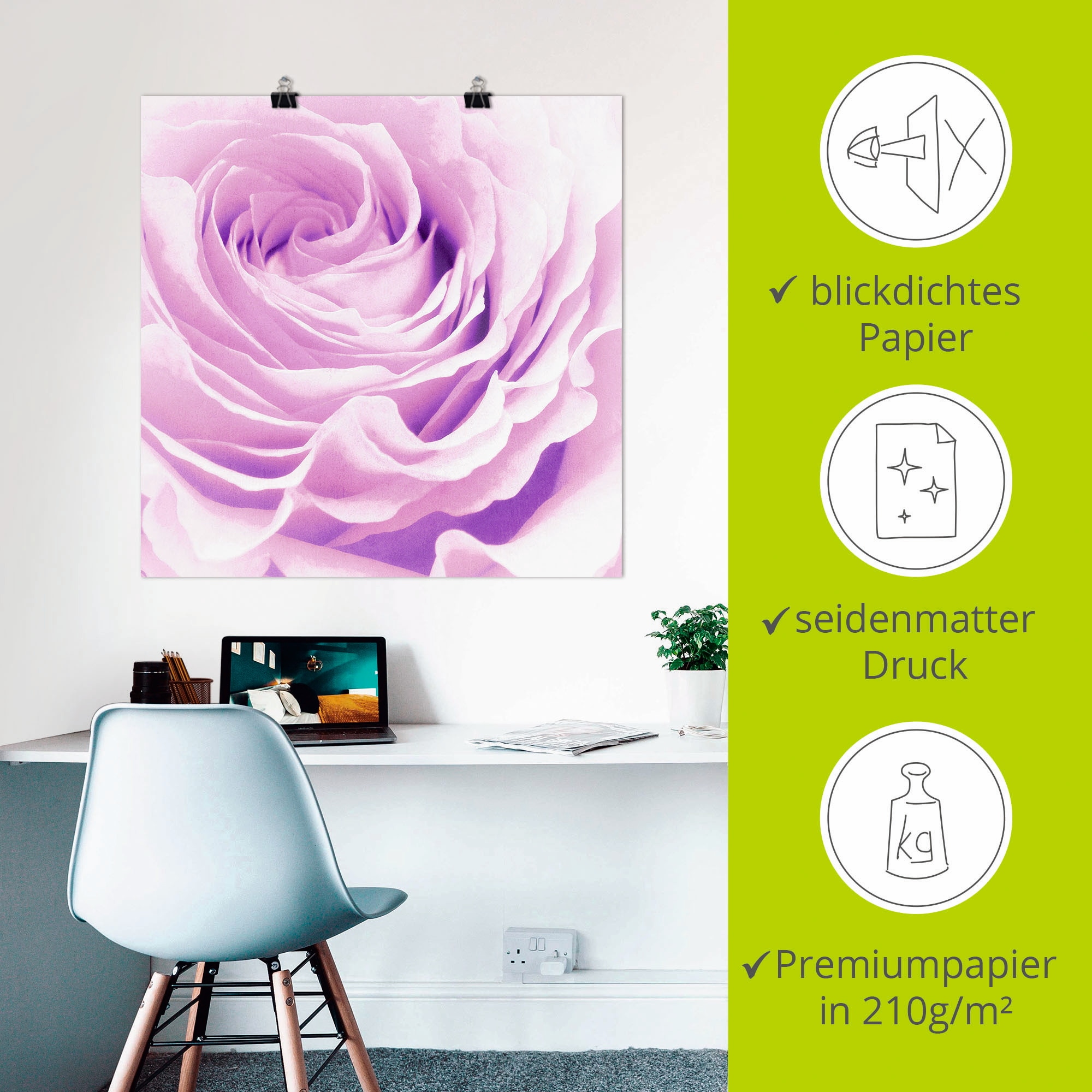 Artland Wandbild »Pastell Rose«, Blumen, (1 St.), als Leinwandbild, Poster, Wandaufkleber in verschied. Größen
