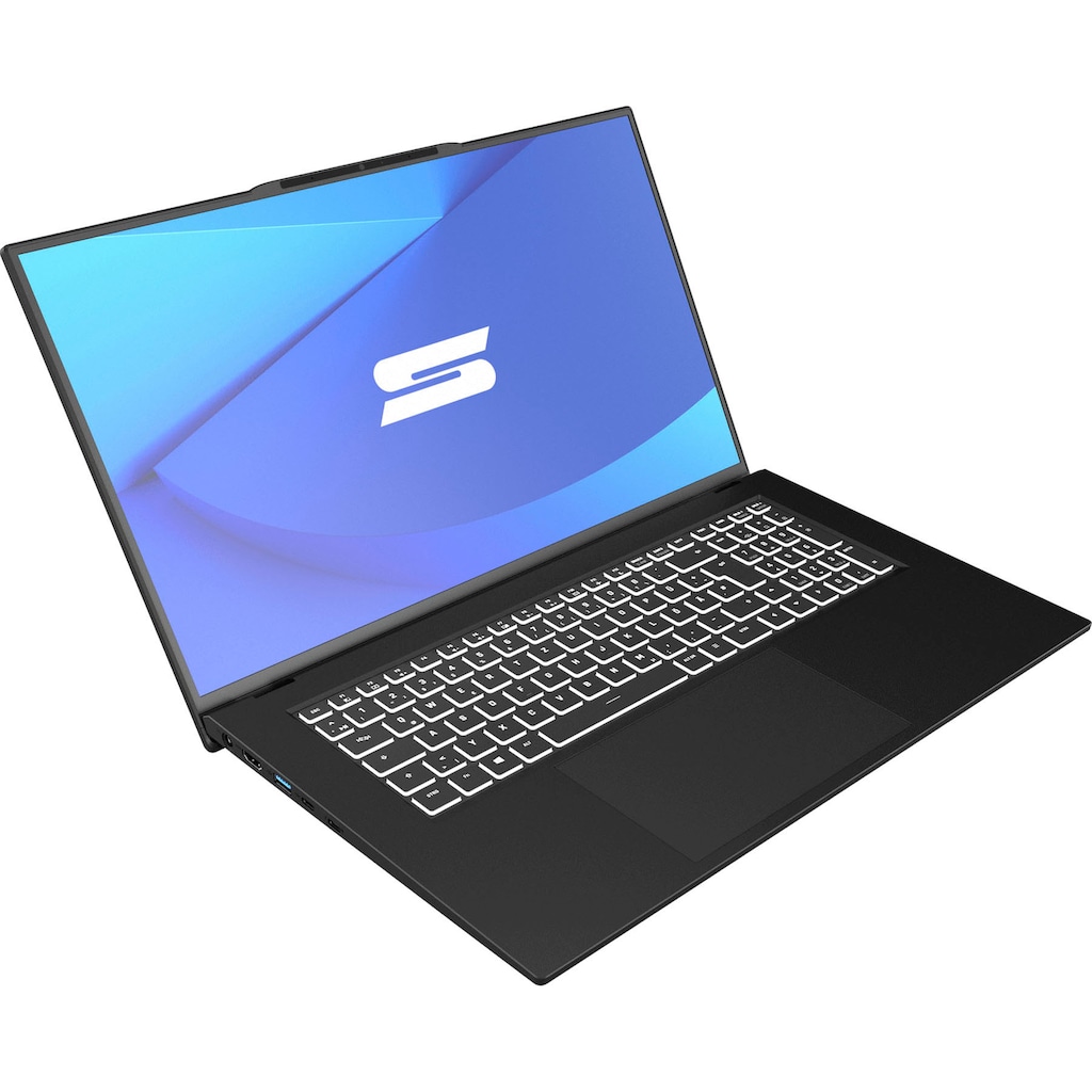 Schenker Notebook »WORK 17 - E21cfk«, 43,94 cm, / 17,3 Zoll, Intel, Core i7, Iris Xe Graphics, 500 GB SSD