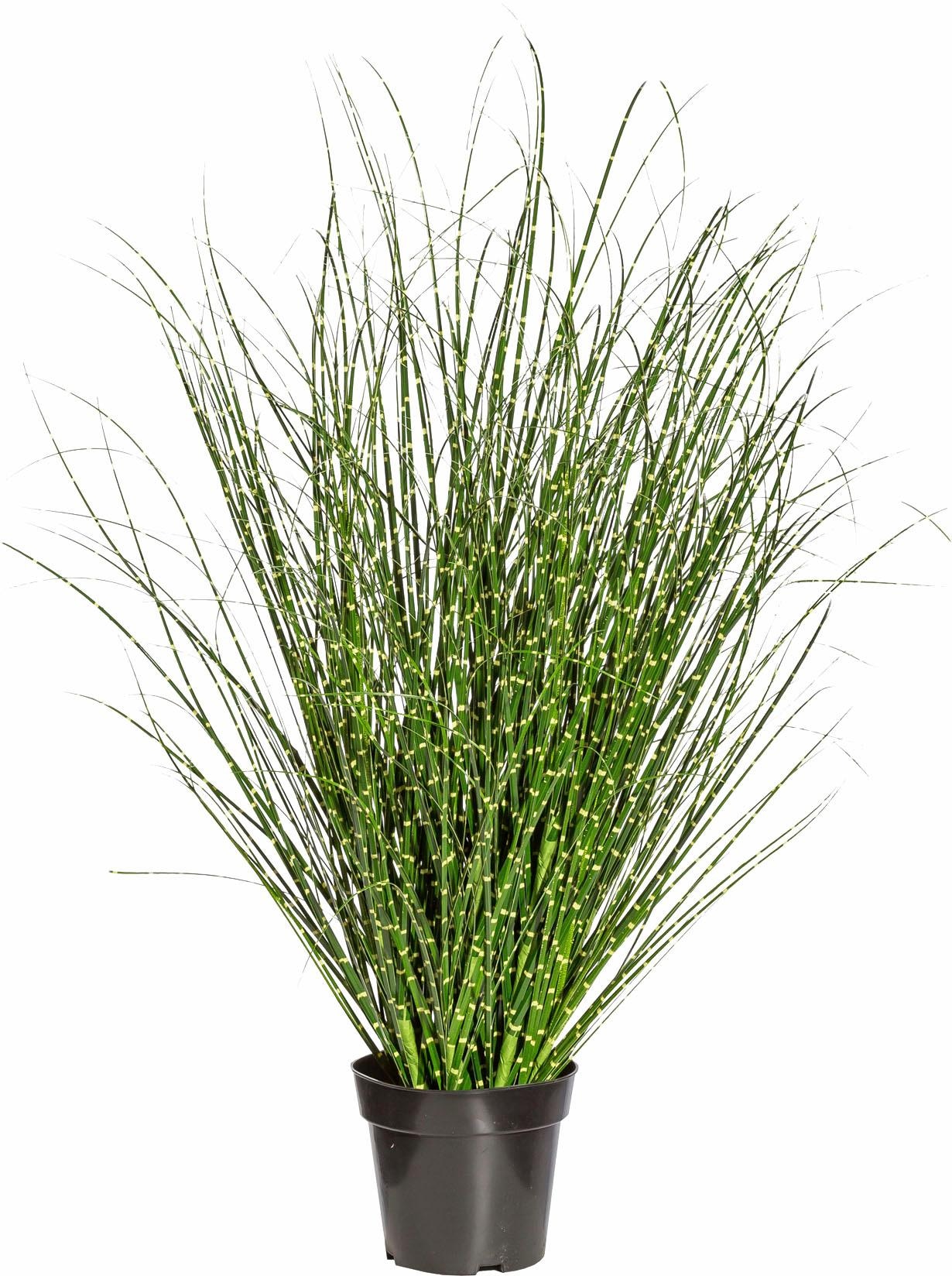 Creativ green Kunstgras »Miscanthus Zebrinus« günstig online kaufen