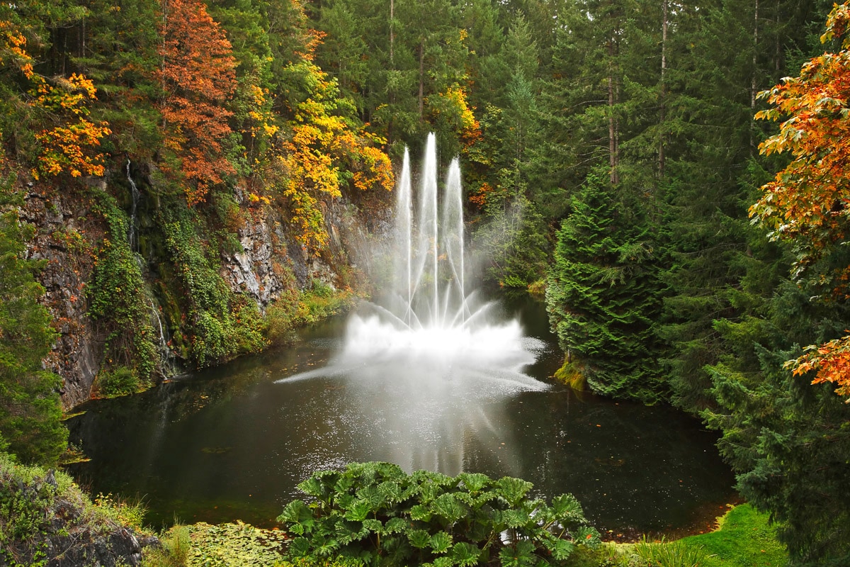 Papermoon Fototapete »Wasserfall im Wald« günstig online kaufen