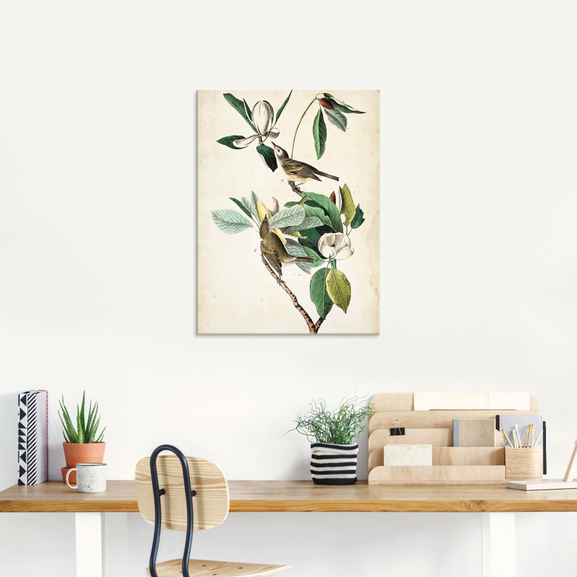 Artland Glasbild »Sängervireo«, Vögel, (1 St.), in verschiedenen Größen günstig online kaufen
