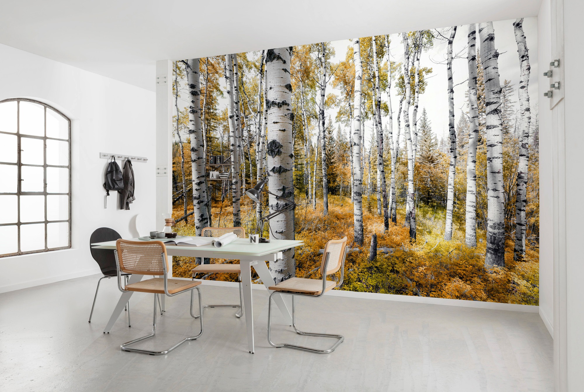 Komar Fototapete Colorful Aspenwoods B/L: ca. 450x280 cm günstig online kaufen