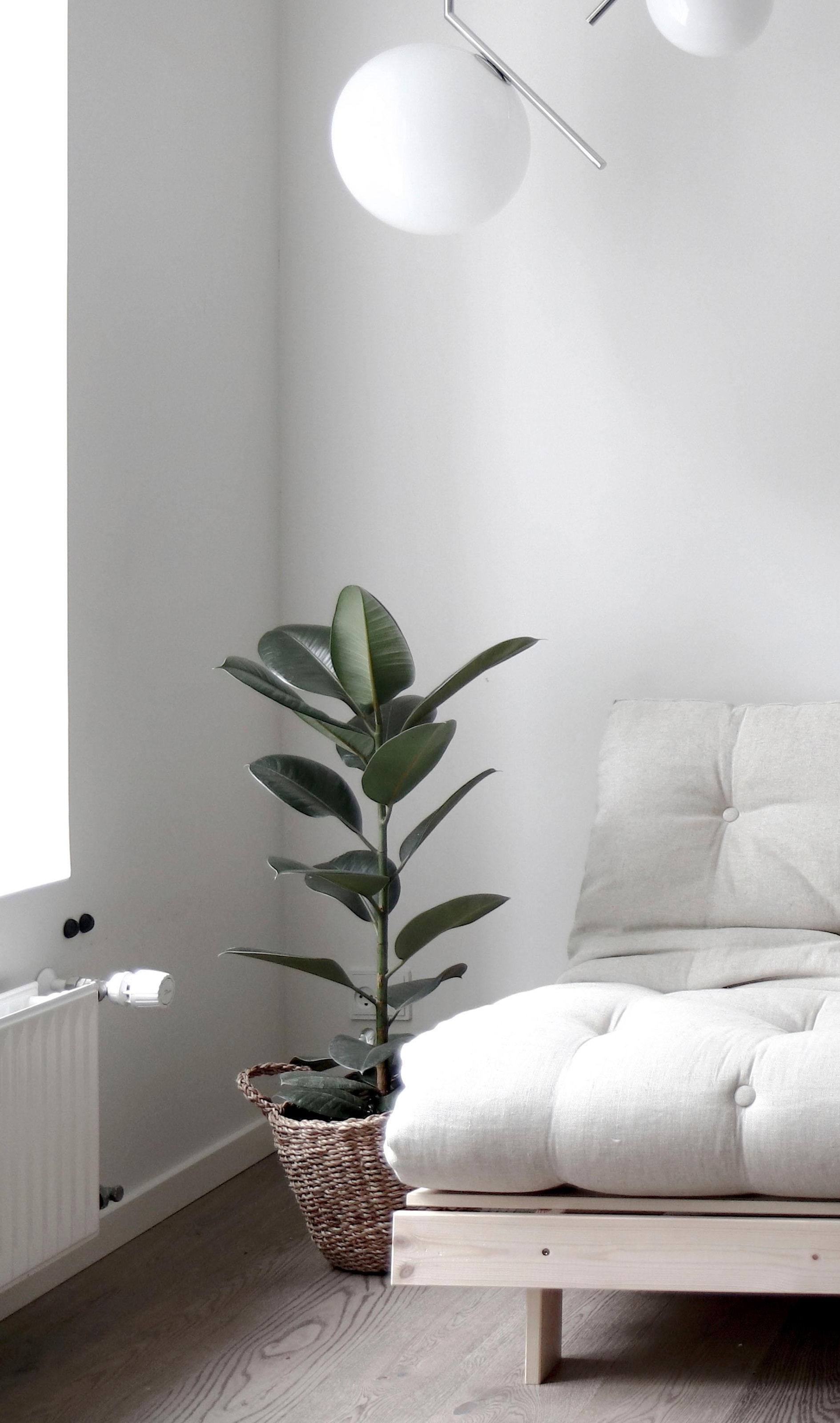 Karup Design Daybett »Daybett Roots Schlafsofa – Gästebett & Sofa aus FSC®-Kiefer« Inkl. Futonmatratze, in mehreren Größen & Farben erhältlich