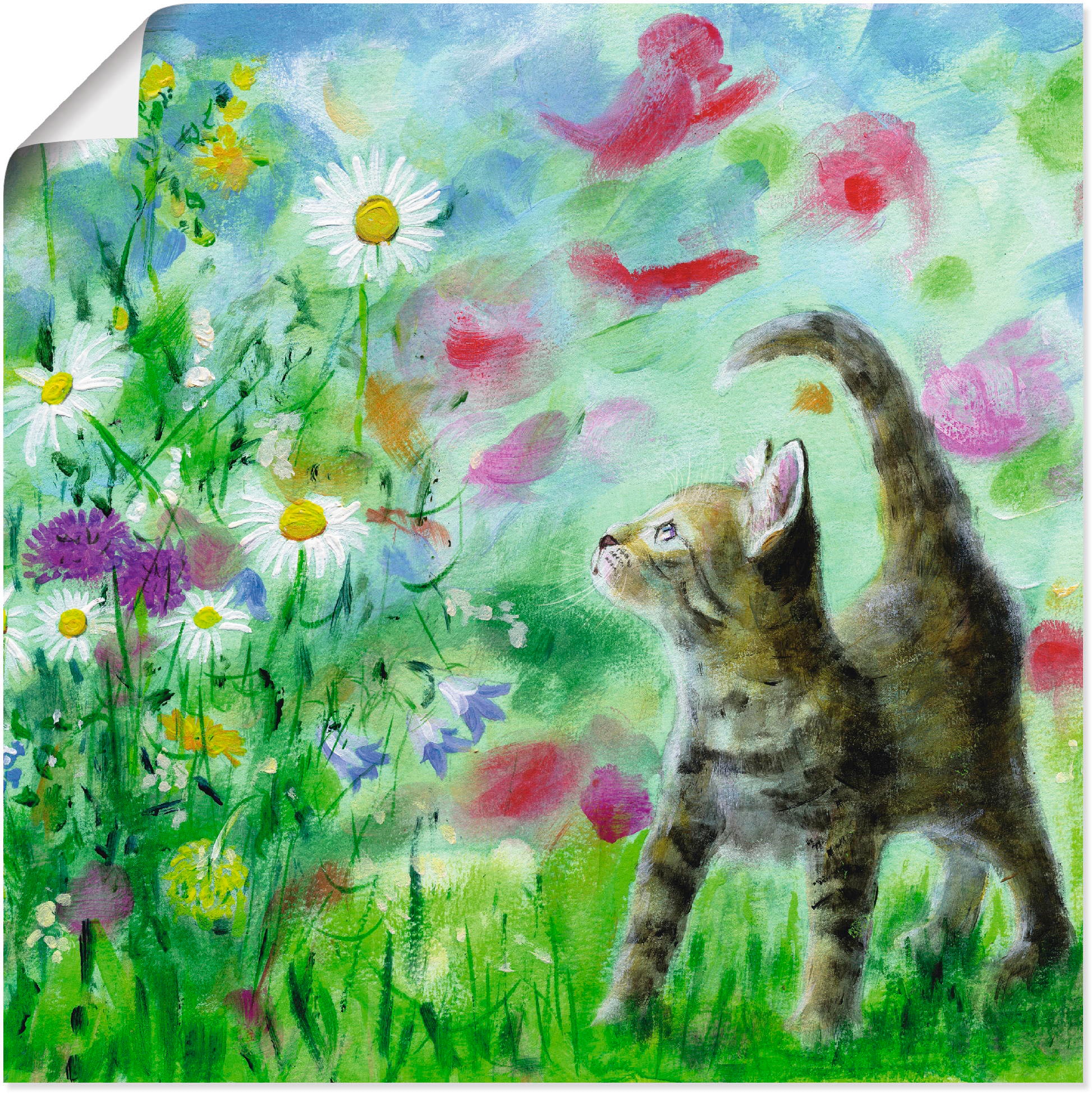 Artland Wandbild »Sommerwiese mit Kätzchen«, Haustiere, (1 St.), als  Leinwandbild, Wandaufkleber oder Poster in versch. Größen online kaufen | Poster