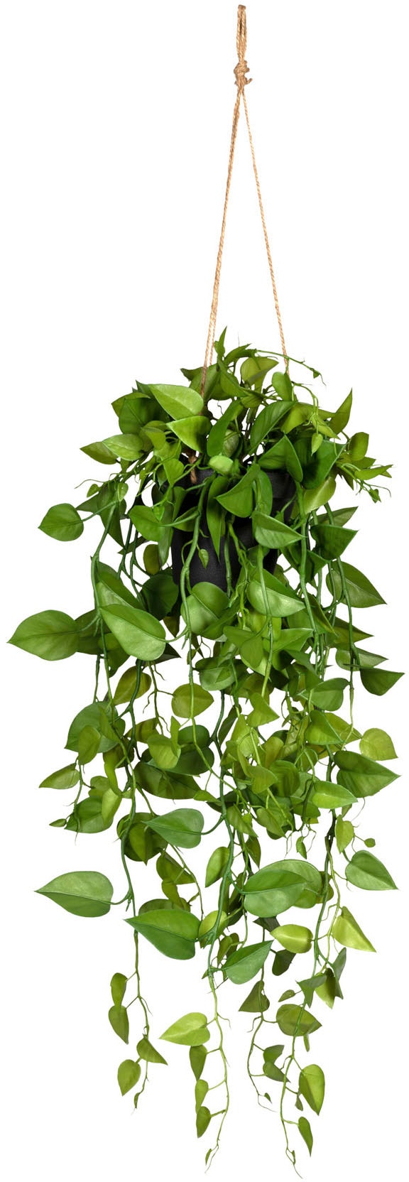 Hängetopf auf Kunstranke »Philodendronhänger«, im Creativ Raten kaufen green