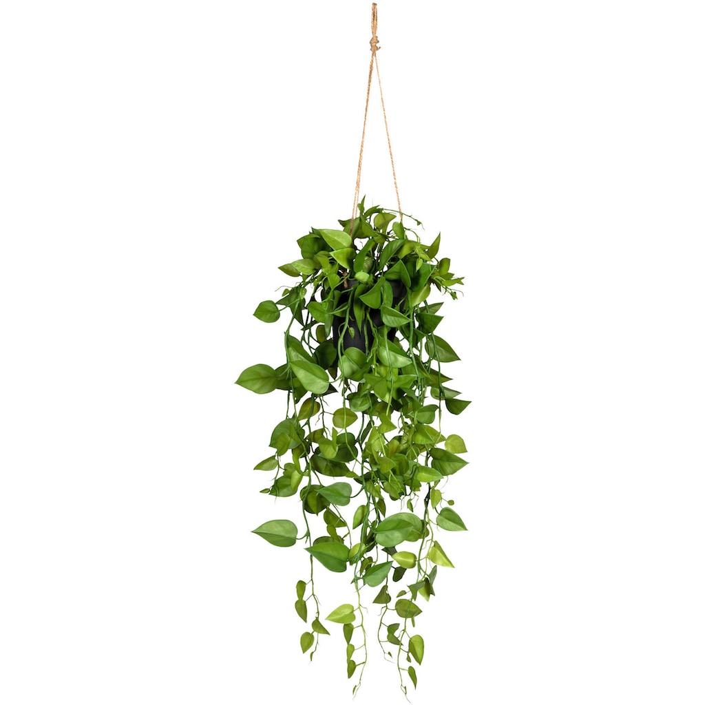 Creativ green Kunstranke »Philodendronhänger«