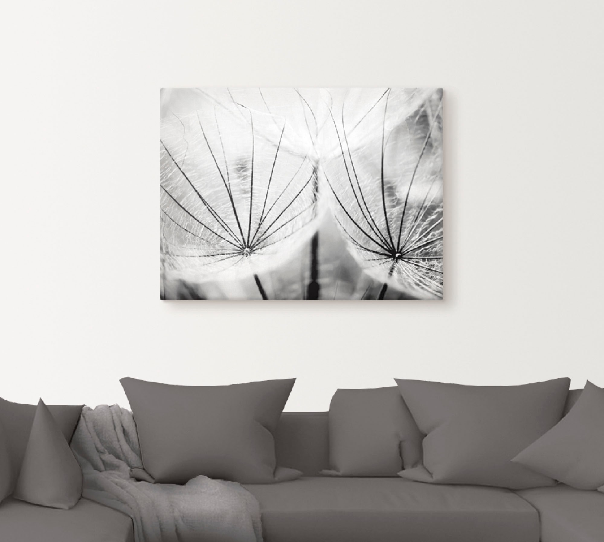 Artland Wandbild »Pusteblume in schwarzweiß«, Blumen, (1 St.), als Alubild, günstig online kaufen