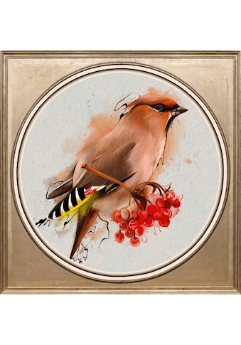 Acrylglasbild »Vogel«