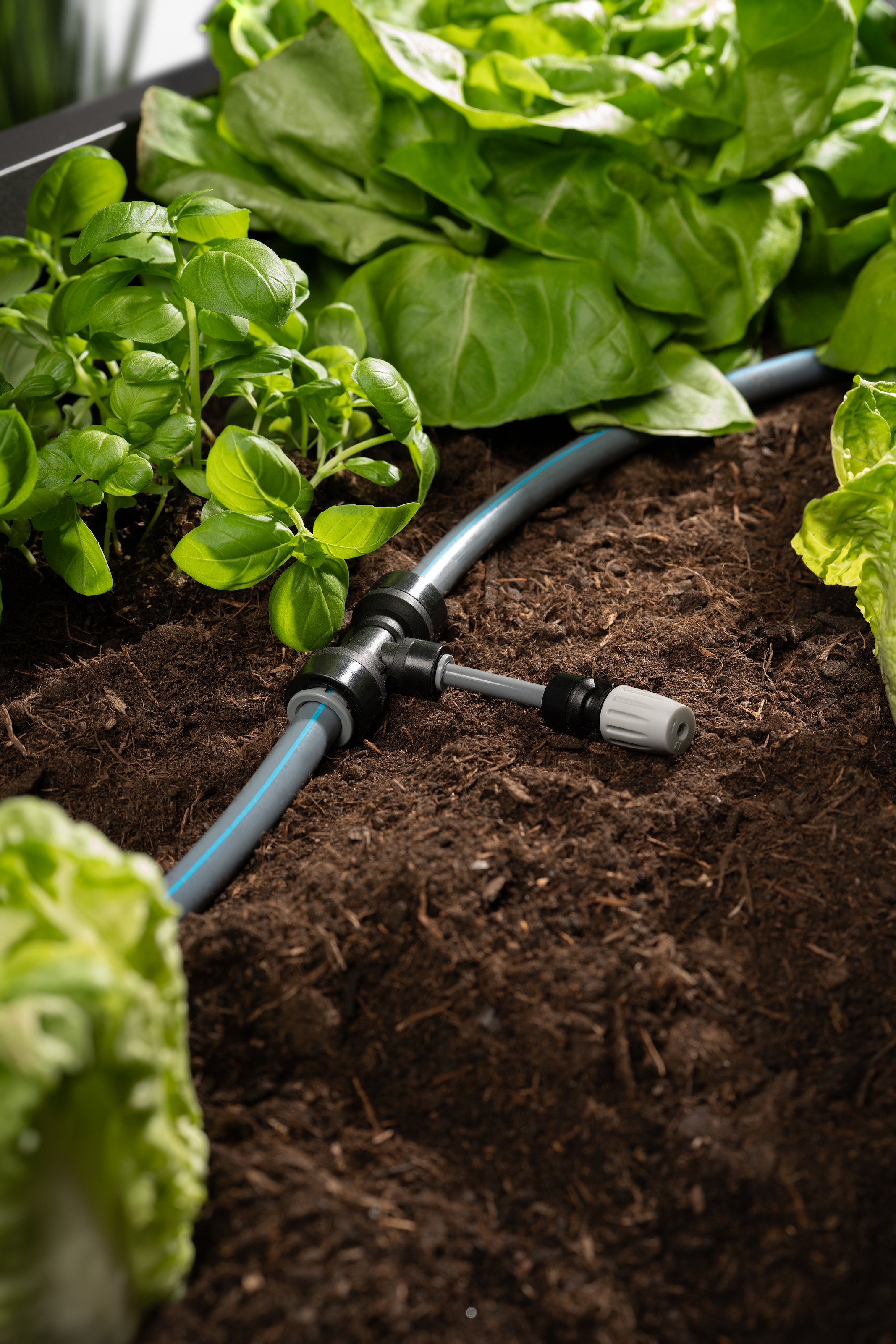 Biohort Bewässerungssystem »zu Hochbeet, Pflanzbeet Belvedere, Gewächshaus Florentina« ()  Effiziente Tropfbewässerung für gesundes Pflanzenwachstum