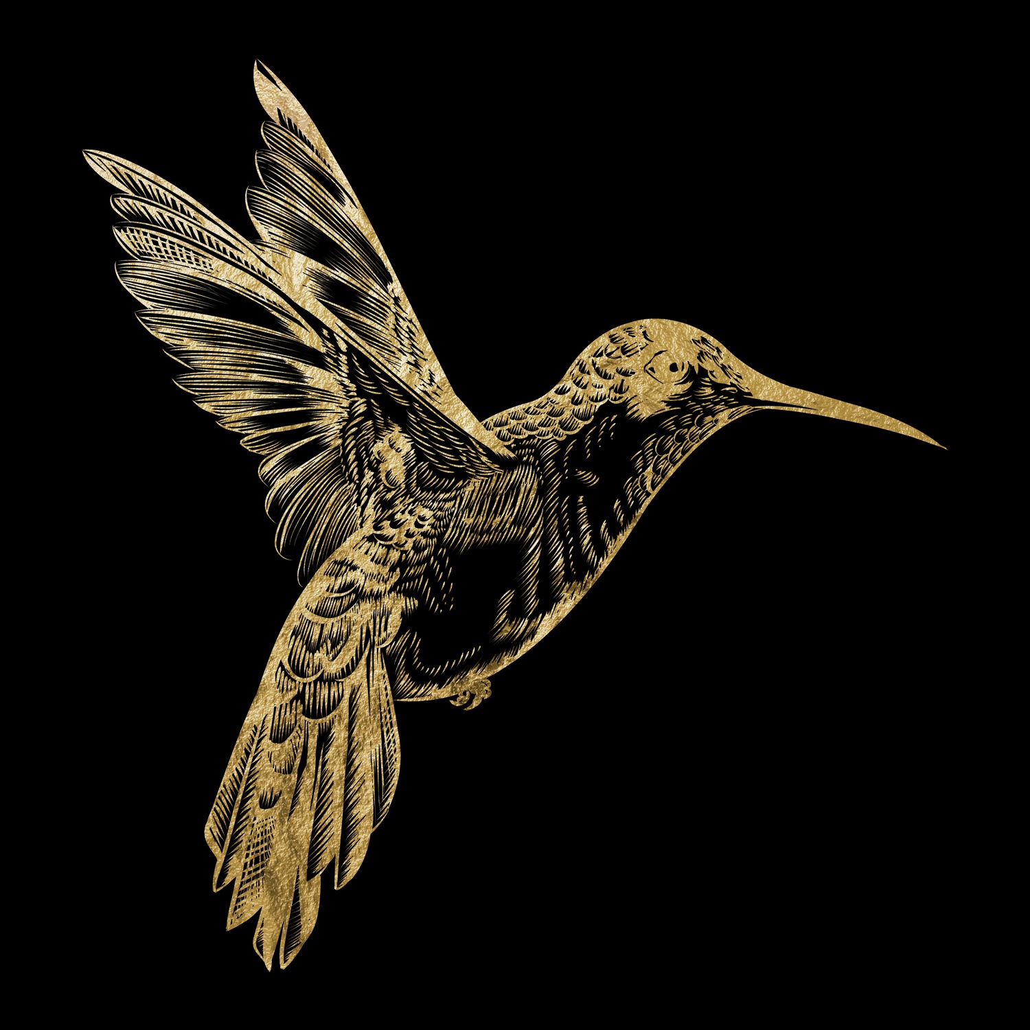 Leonique Acrylglasbild »Kolibri - Acrylbilder mit Blattgold veredelt«, Vöge günstig online kaufen