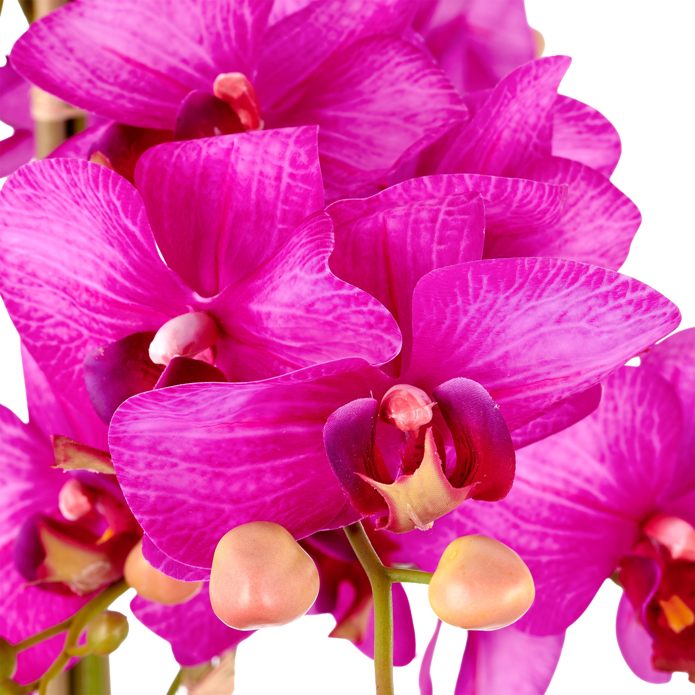 Creativ green Kunstorchidee »Phalaenopsis«