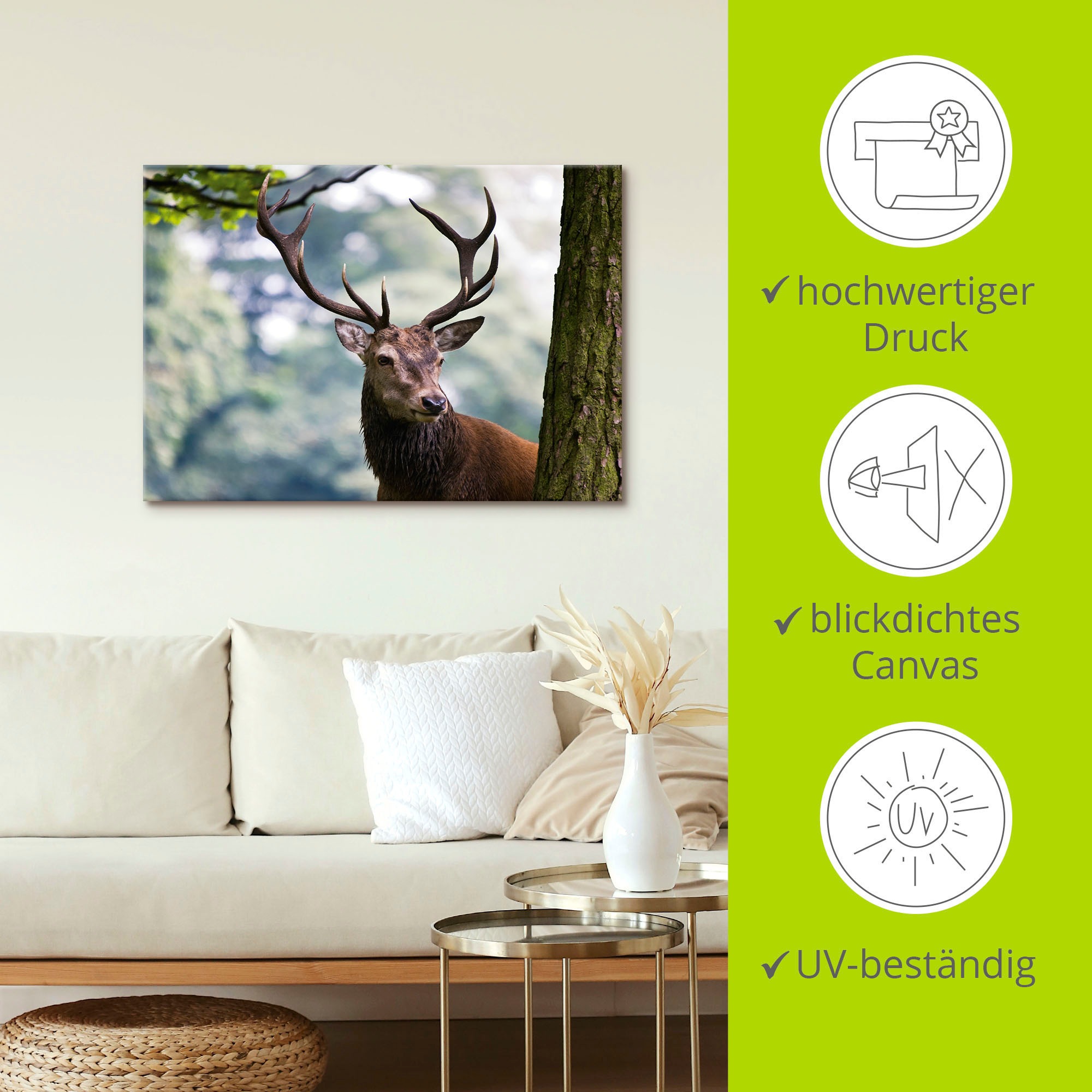 Artland Wandbild »Hirsch«, Wildtiere, (1 St.), als Alubild, Outdoorbild, Leinwandbild, Poster in verschied. Größen