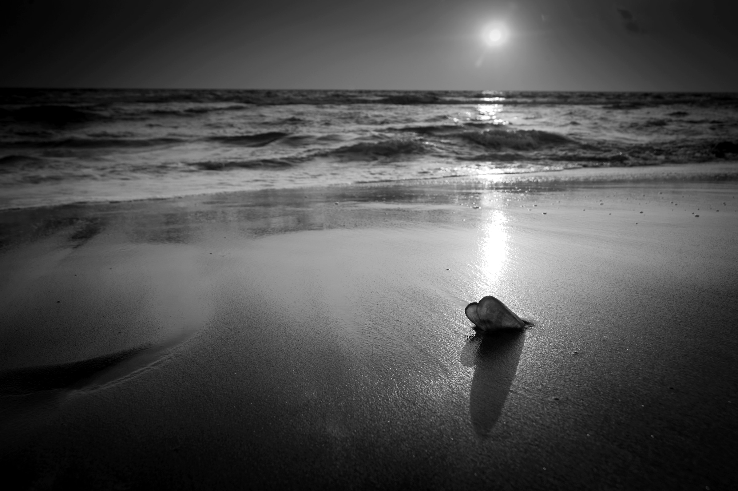 Papermoon Fototapete »Strand Schwarz & Weiß« günstig online kaufen