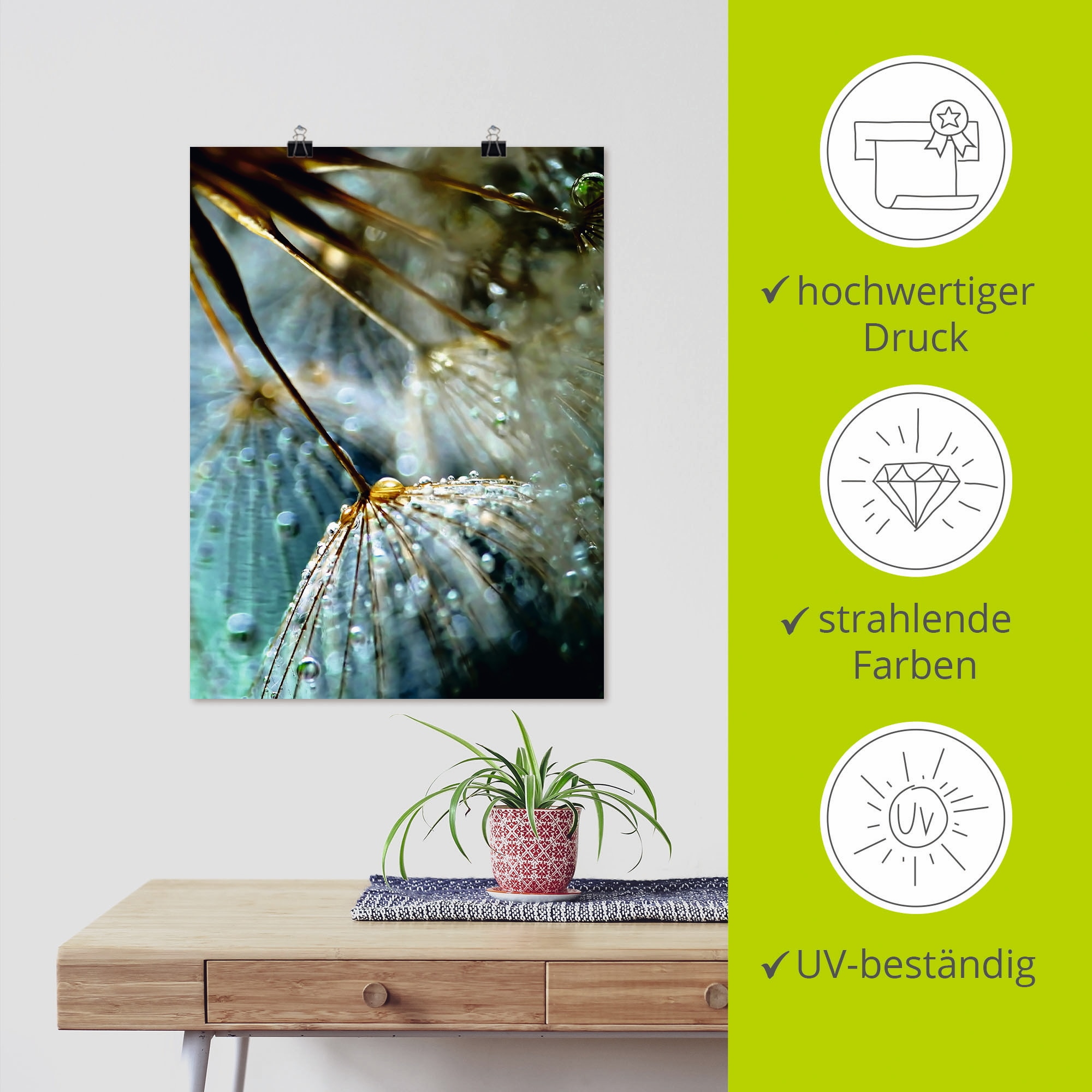 Artland Wandbild »Pusteblume Mystische Schönheit«, Blumen, (1 St.), als Alubild, Outdoorbild, Leinwandbild, Poster, Wandaufkleber