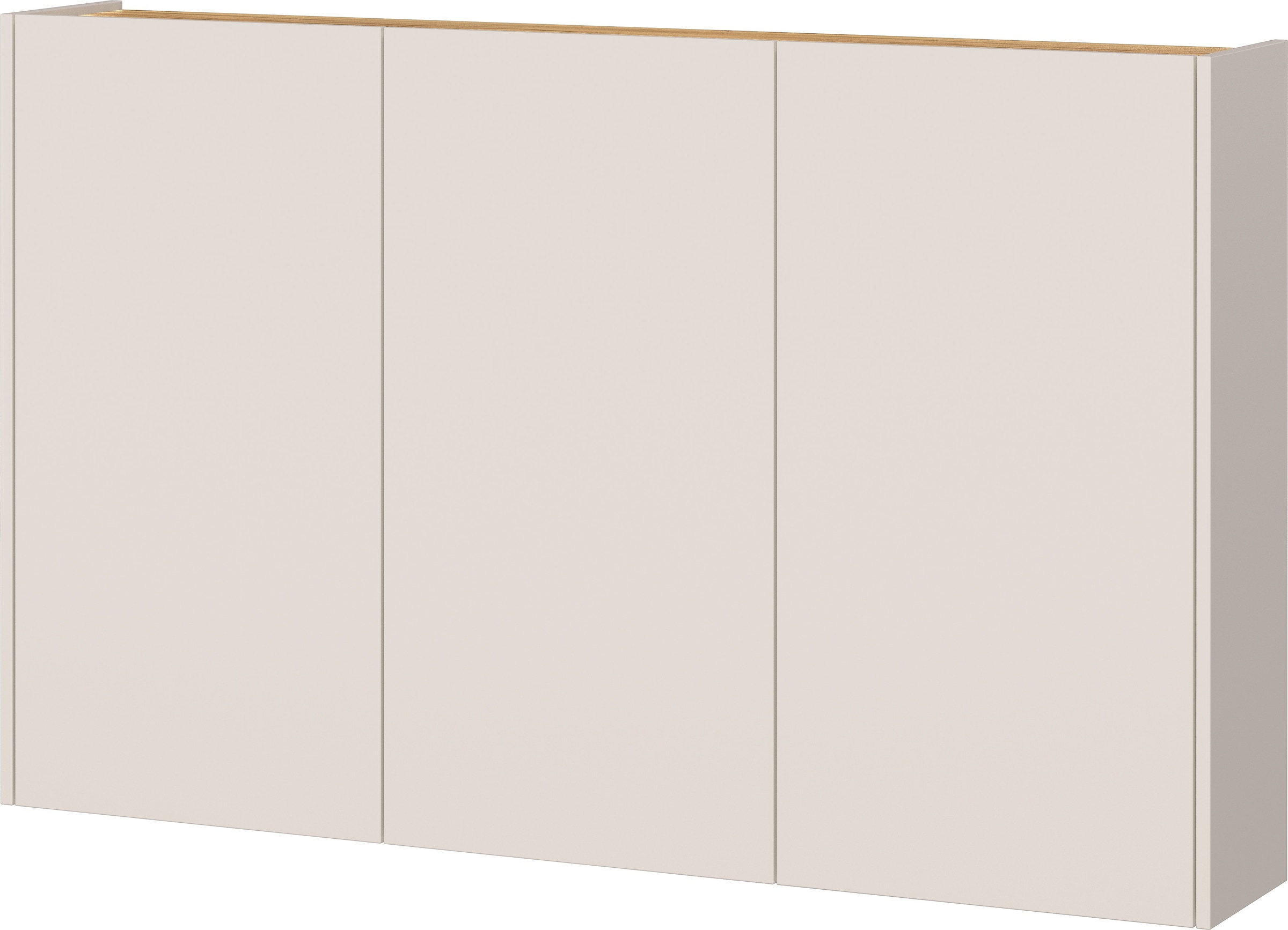 GERMANIA Mehrzweckschrank »GW-Libbiano«, ideal für schmale Flure, Breite 13 günstig online kaufen