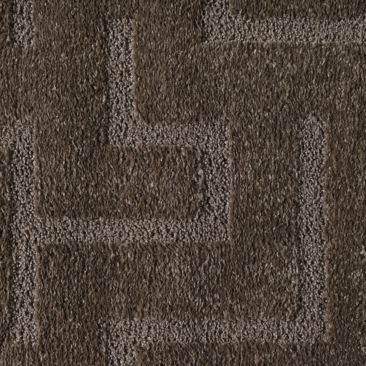 the carpet Designteppich »Elisa« rechteckig 15 mm Höhe mit klaren geometrischen Formen und Linien