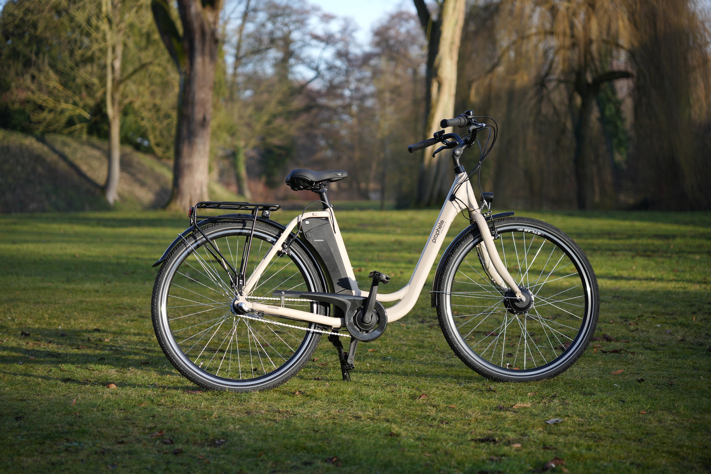 Prophete »Prophete Geniesser 1.0« 3 Gang Shimano Nexus Schaltwerk Nabenschaltung Frontmotor 250 W