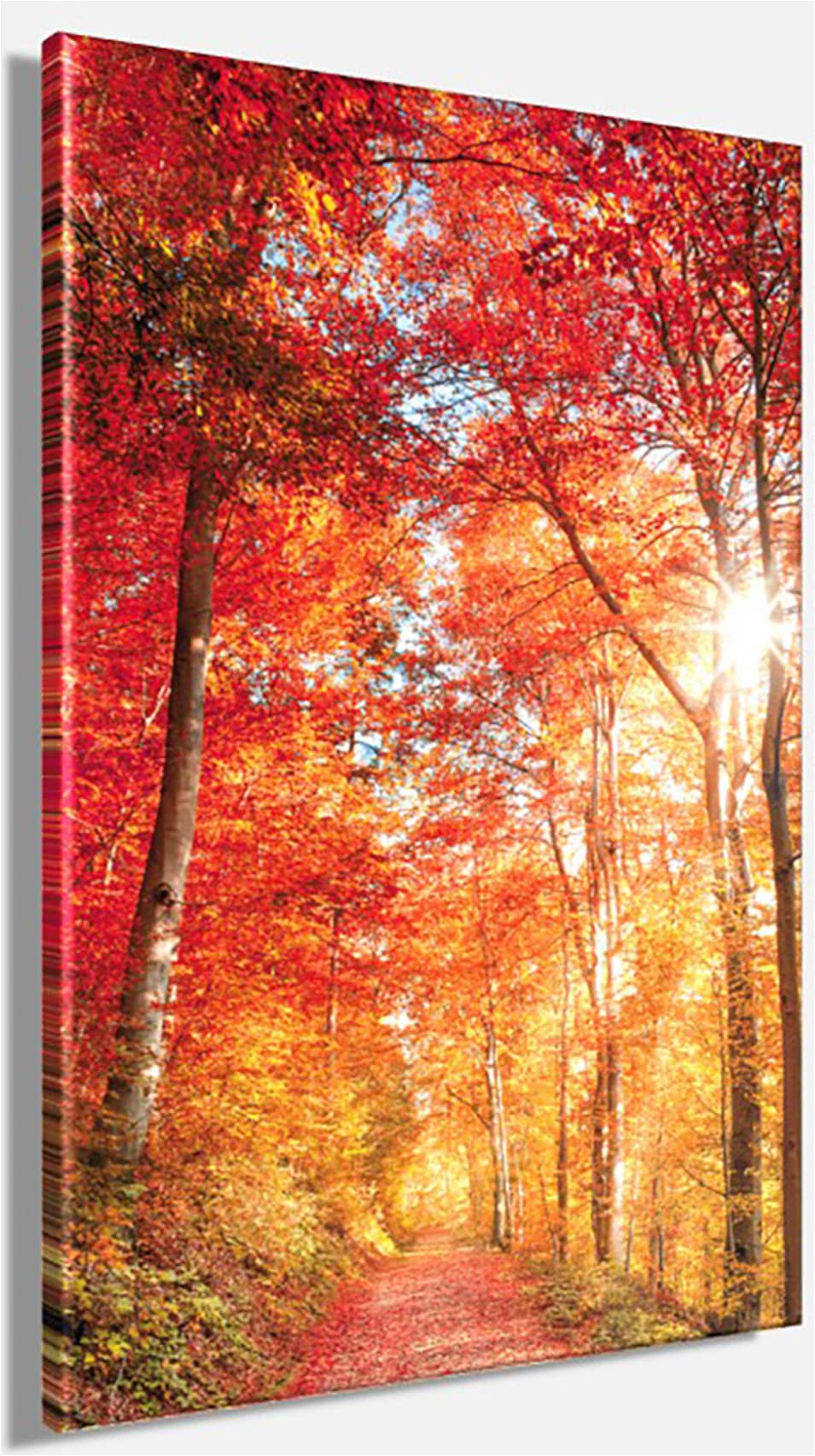 Bönninghoff Leinwandbild »Wandbild BUNTER HERBSTWALD 60x90 cm – Leinwandbild Keilrahmen Deko« Baumbilder | Bäume | Landschaft | Natur | Wald | Waldbilder 1 Stk. tlg. auf Keilrahmen gespannt