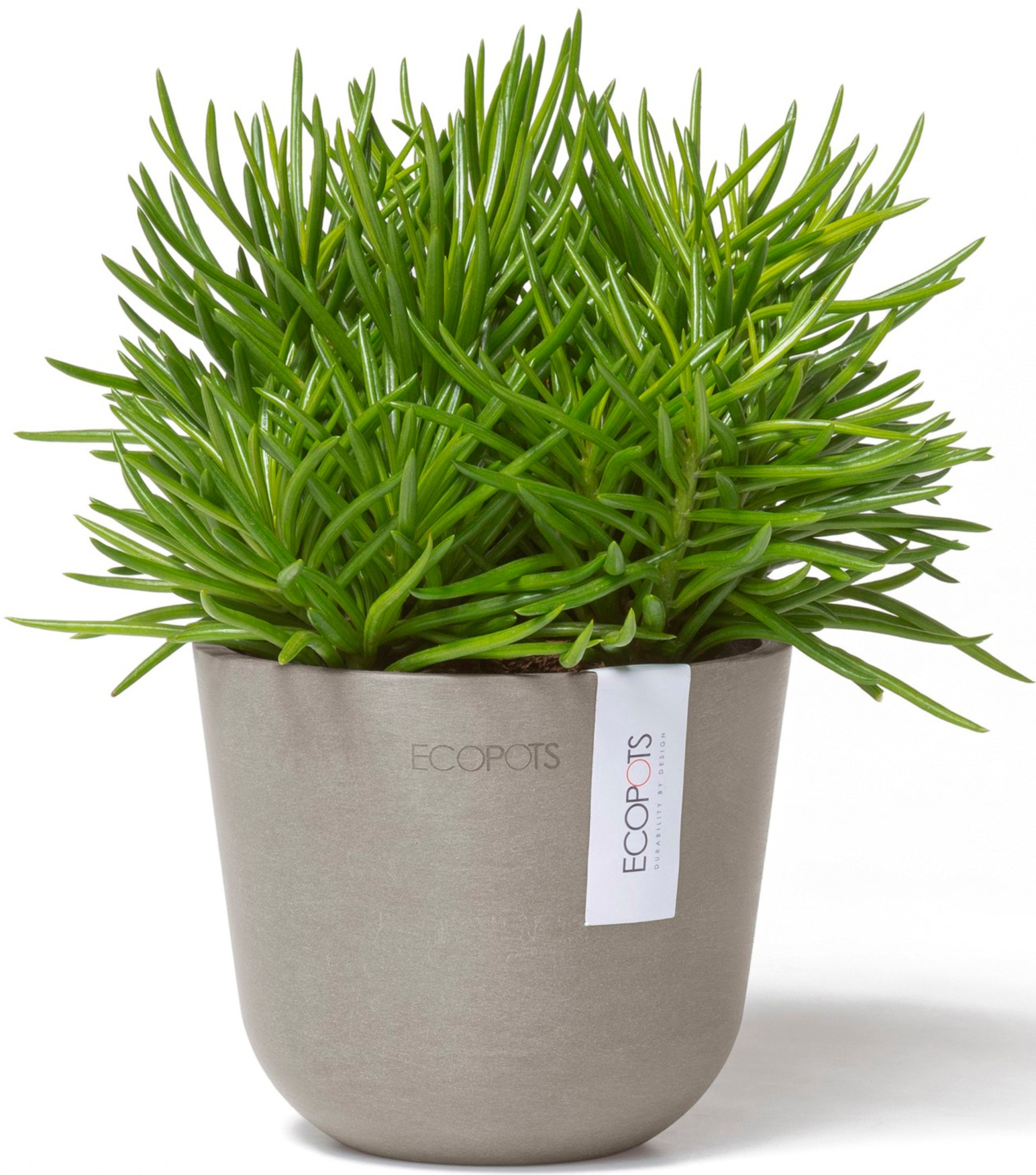 ECOPOTS Blumentopf »Oslo Mini 11,5 Taupe«, für den Innenbereich