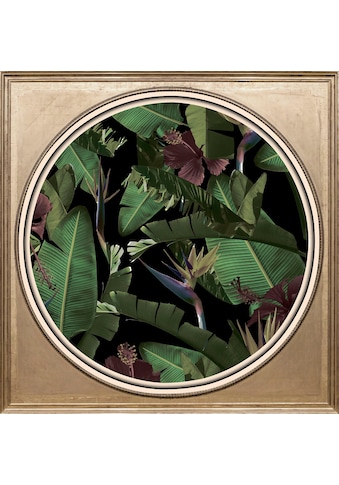 Acrylglasbild »Tropische Pflanzen II«