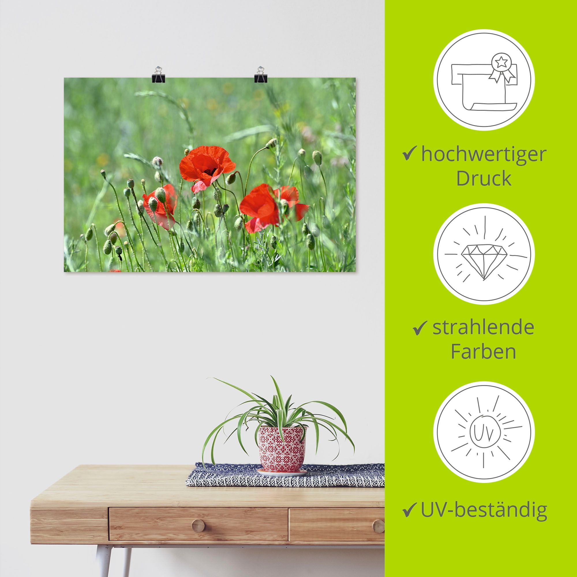 Artland Wandbild »Mohnblumen im Gras«, Blumenbilder, (1 St.), als Leinwandbild, Poster in verschied. Größen