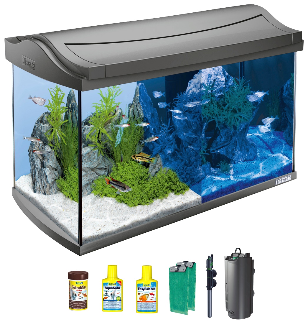 Tetra kaufen 60 Discovery l Aquarium »AquaArt 61,5x34x43,5 LED Line«, cm, online BxTxH: