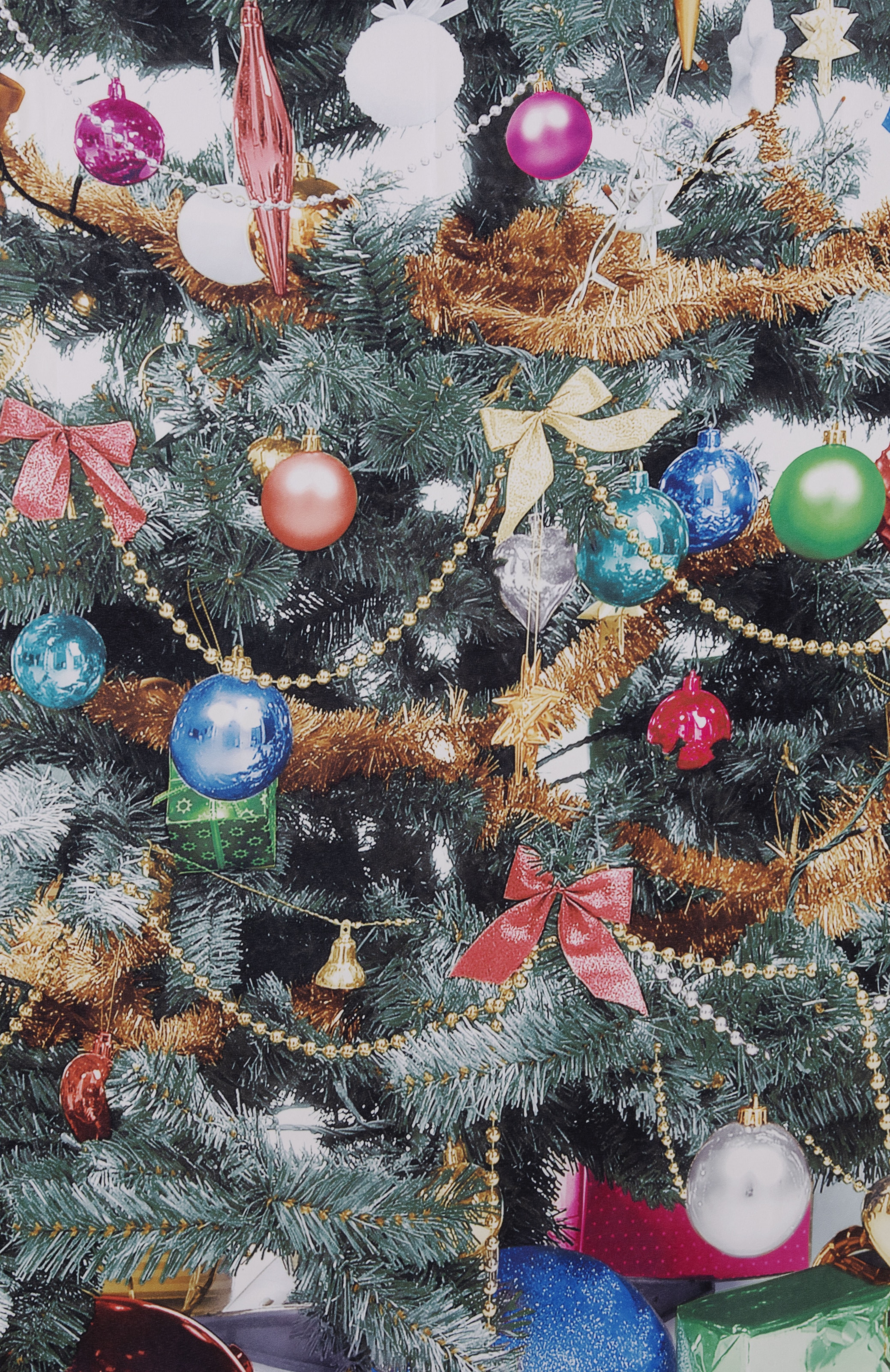 my home Vorhang »Xmas Tree«, (1 St.), Weihnachtlich mit Weihnachtsdeko HxB: 230x140, mit Tannenbaum bedruckt