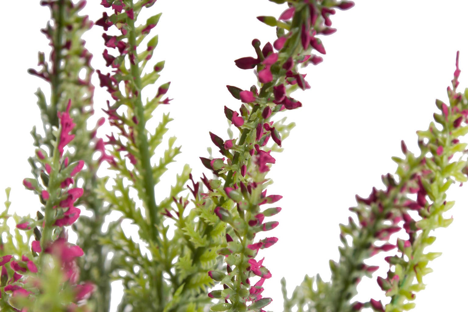 Botanic-Haus Kunstblume »Erikabusch mit 15 Stielen«