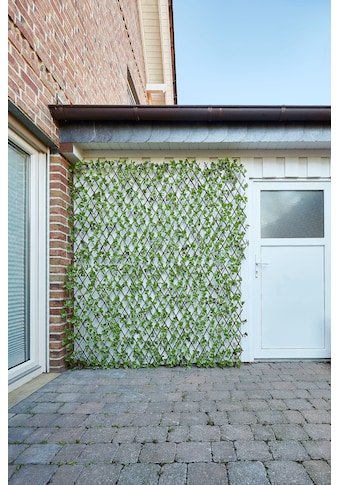 GardenDeluxe living Kunstranke »Dekozaun Spalier Jadeblatt«, ausziehbarer Zaun, mit... kaufen