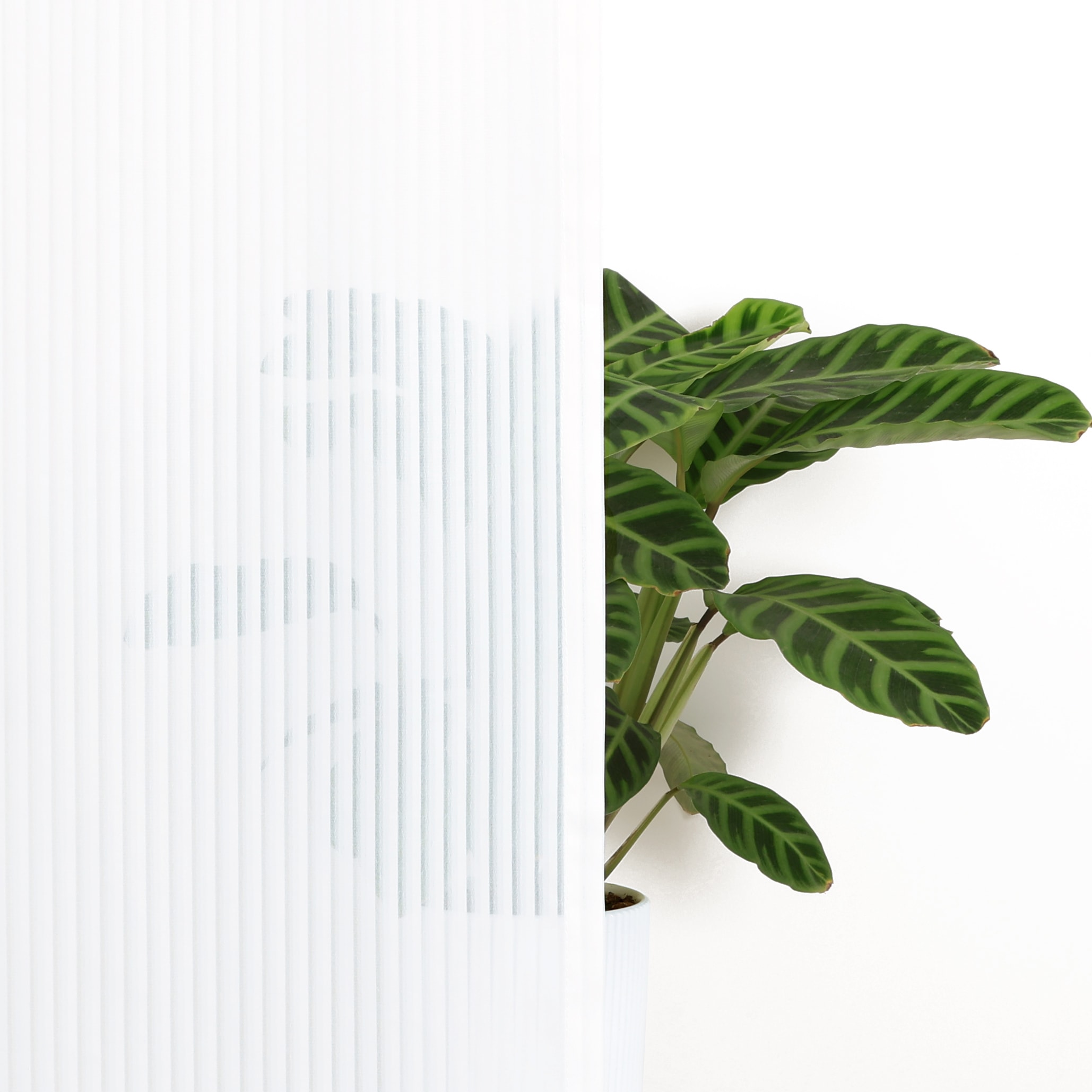 OTTO home Gardine »Fritty« Ösen 2 Stk. tlg. Ösen,  transparent, Pflegeleicht, elegante Längststreifen