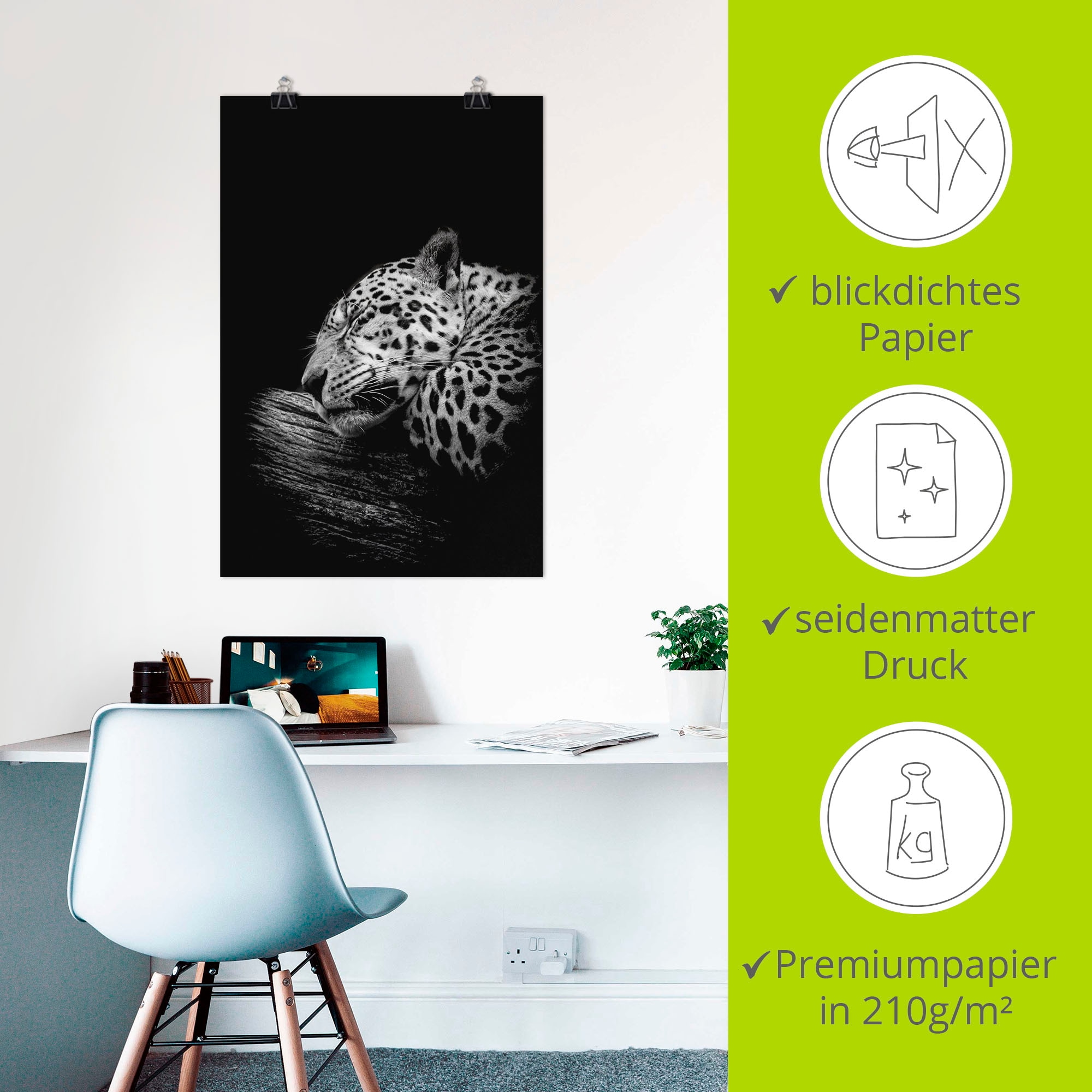 Artland Wandbild »Der schlafende Jaguar« Wildtiere 1 Stk. tlg. als Alubild, Outdoorbild, Leinwandbild, Poster in verschied. Größen