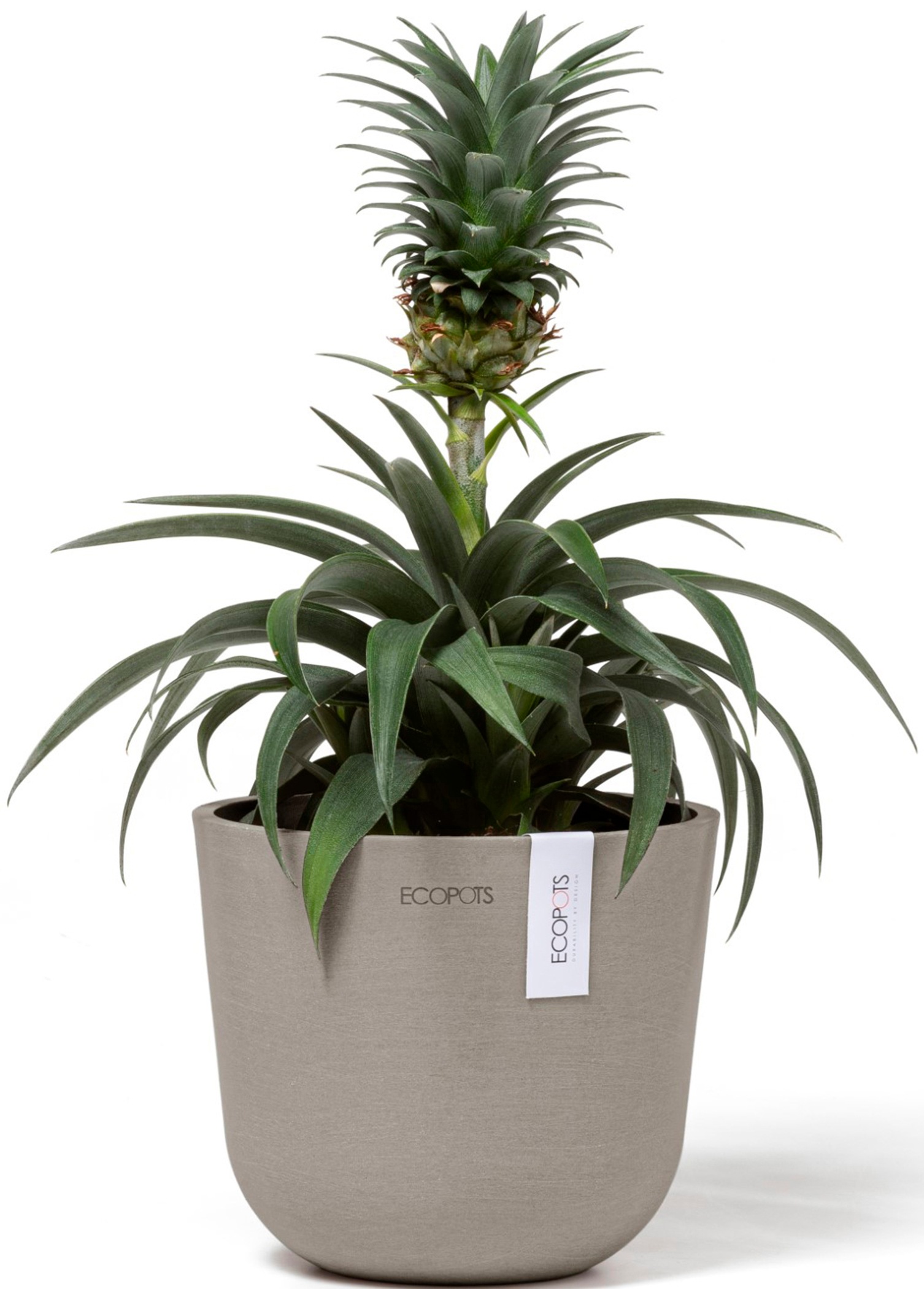 ECOPOTS Blumentopf »Oslo Mini 16 Taupe«, für den Innenbereich