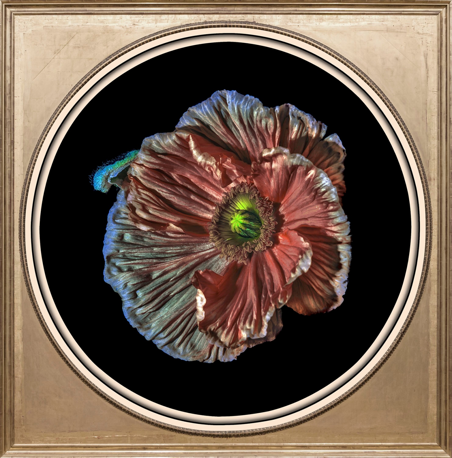 queence Acrylglasbild »Blume«, Blumen-Blumenbilder-Kunst-Pflanzen-Pflanzenb günstig online kaufen