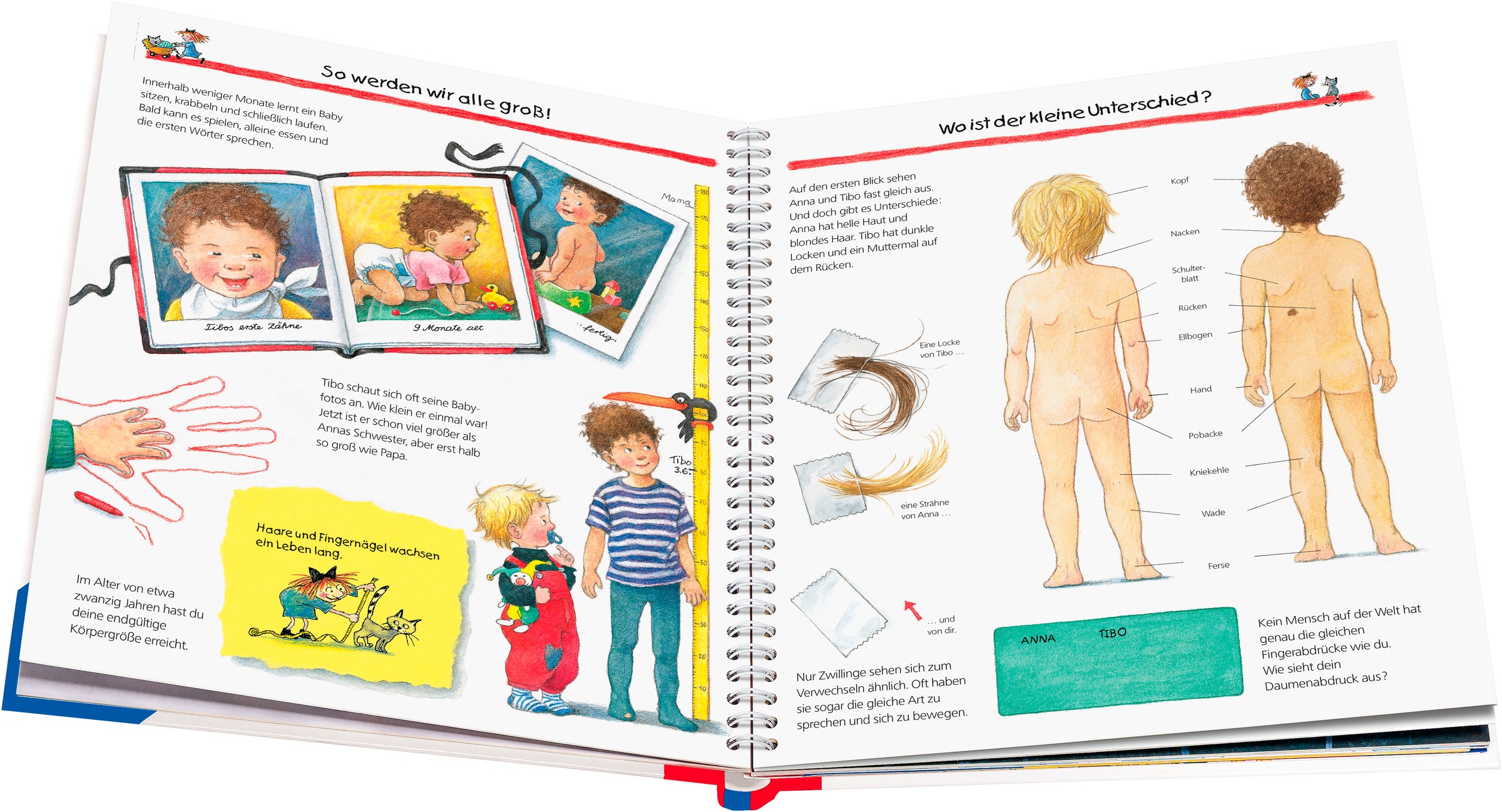 Ravensburger Kinderbuch »Wieso? Weshalb? Warum?, Band 1 Wir entdecken unseren Körper«