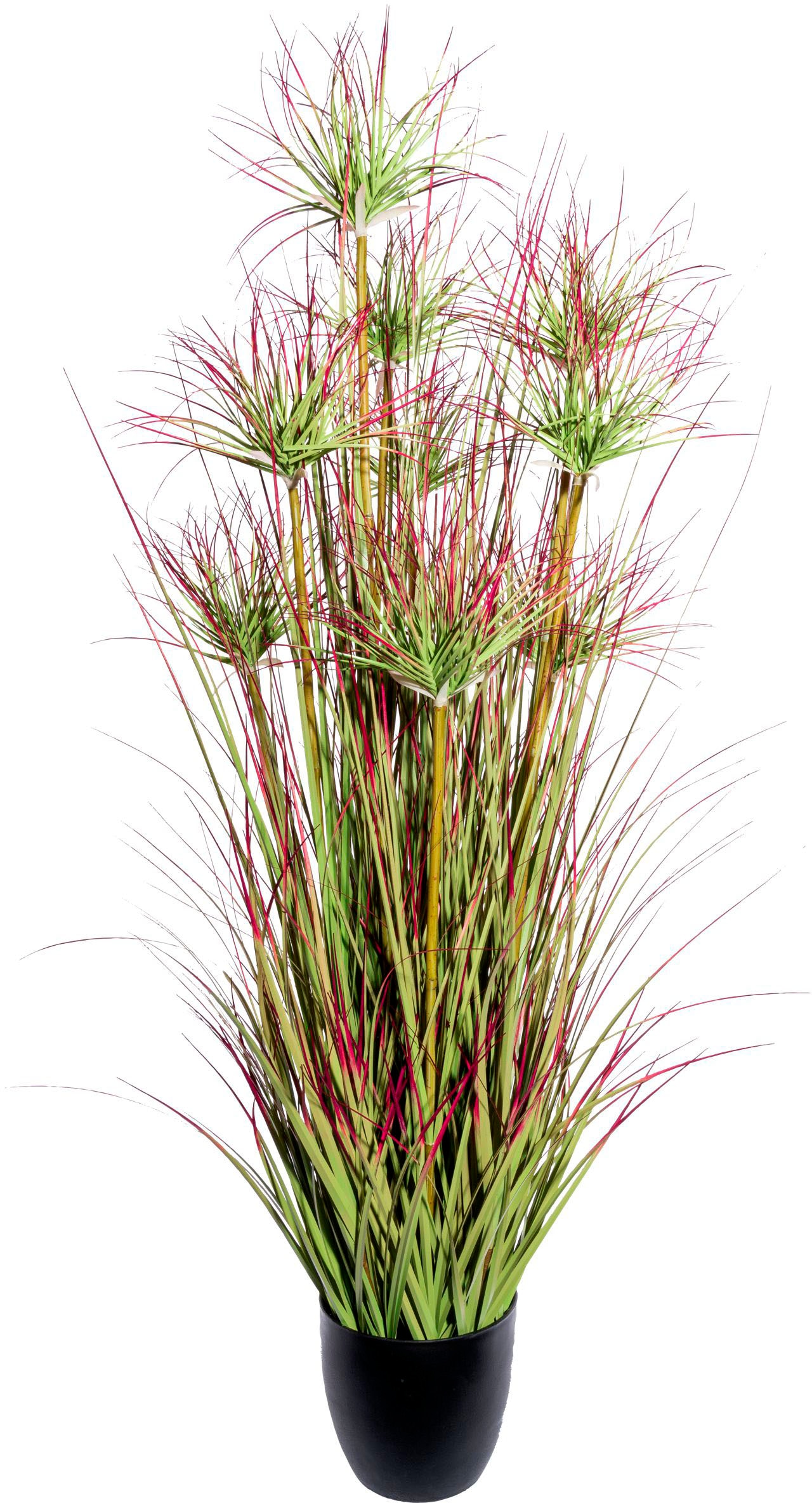 Creativ green Kunstgras »Cyperngrasbusch« günstig online kaufen