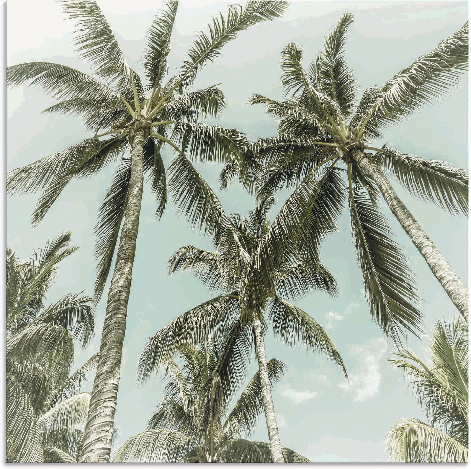 Leinwandbild, kaufen Vintage«, versch. Artland Baumbilder, (1 oder Wandaufkleber Wandbild in Poster »Palmenidylle Größen Alubild, online St.), als