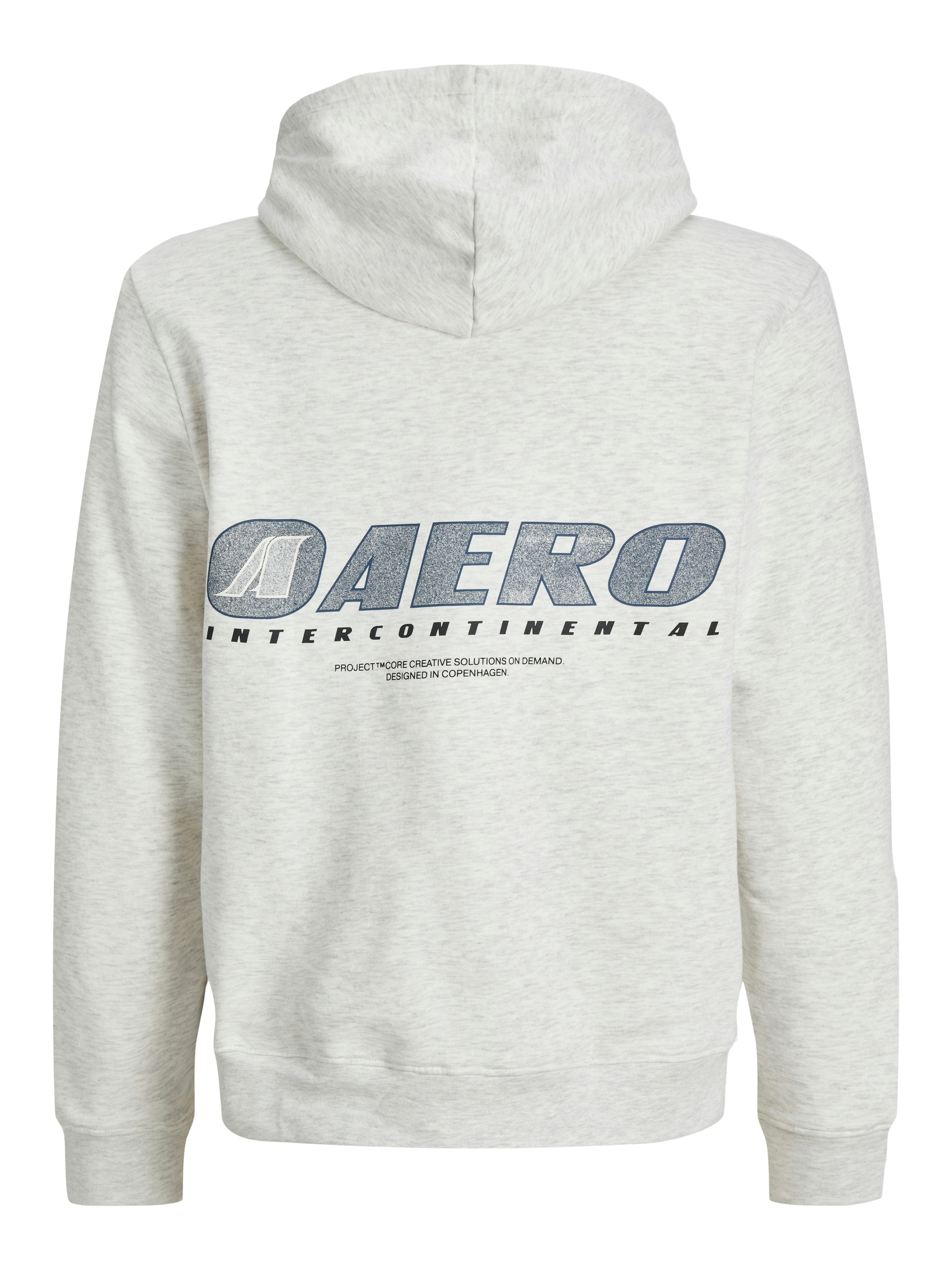 Jack & Jones Kapuzensweatshirt »JCOTIER PRINT SWEAT HOOD«