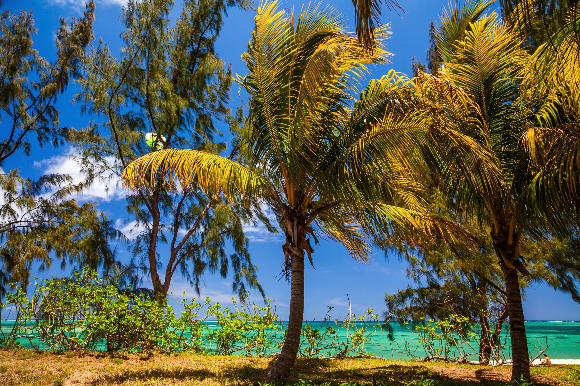 Papermoon Fototapete »PALMEN-STRAND-KARIBIK SÜDSEE MEER DÜNEN SONNE OZEAN XXL«
